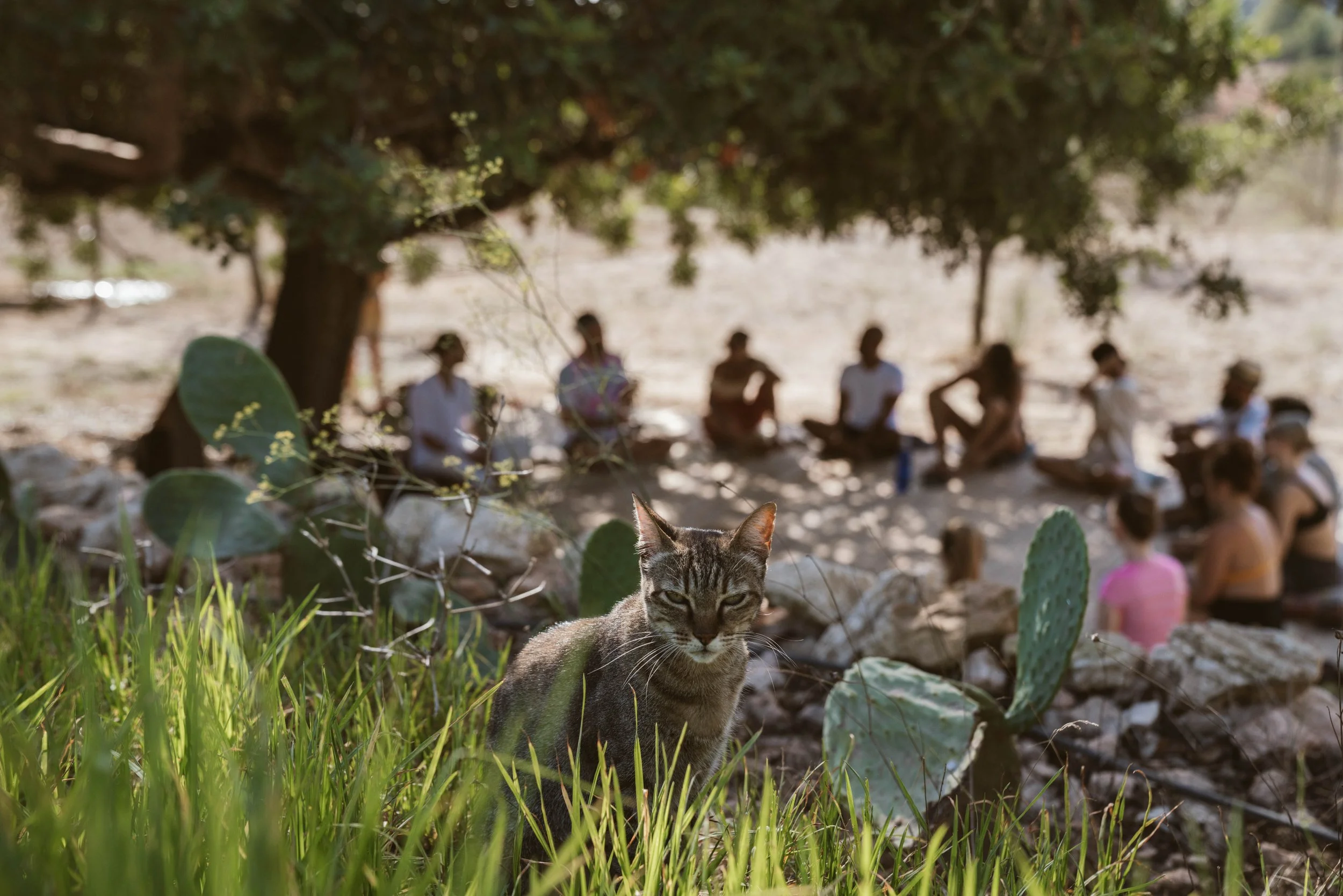 Foto 16-09-2022, 10 37 15.jpg