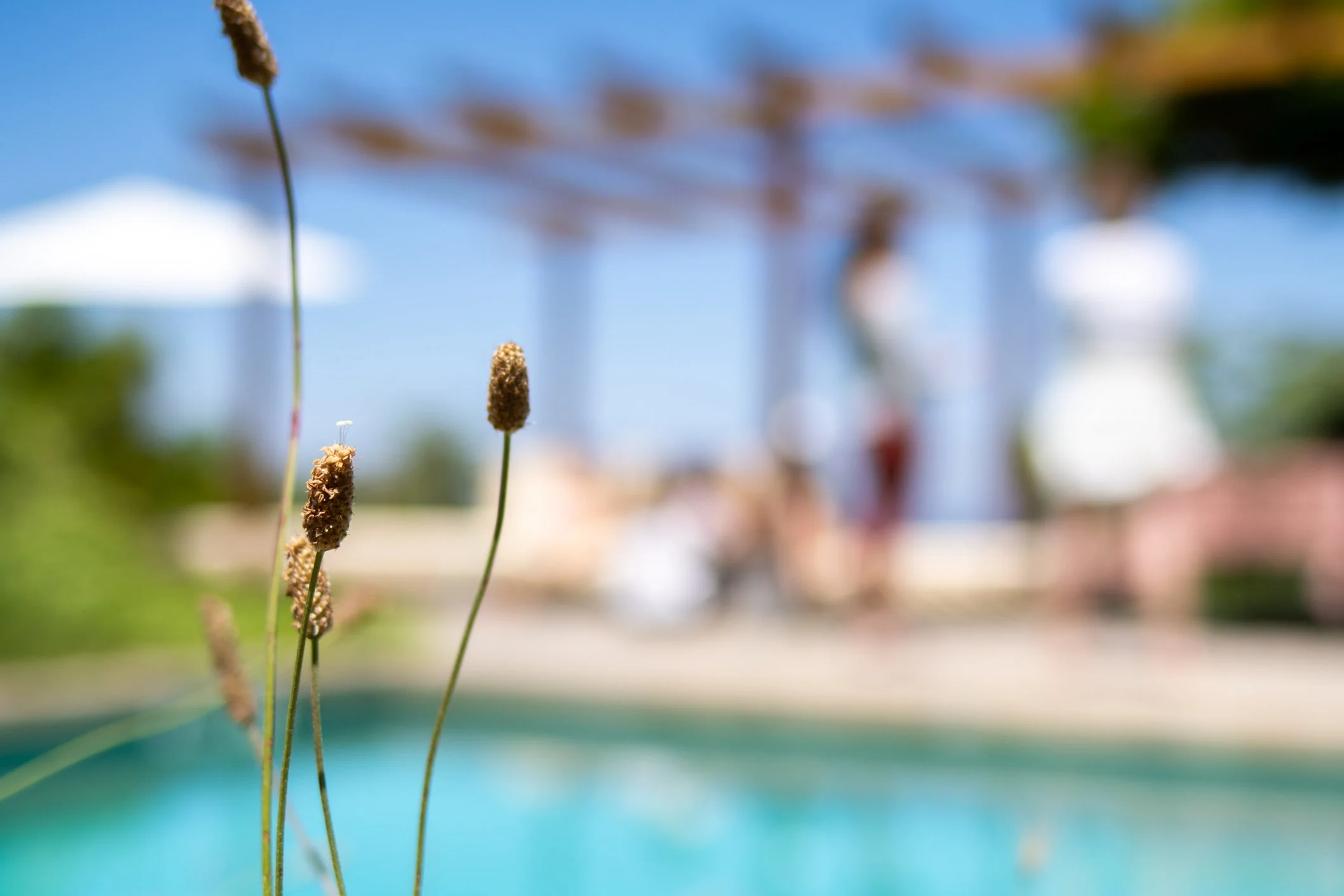 PISCINA 4.jpg