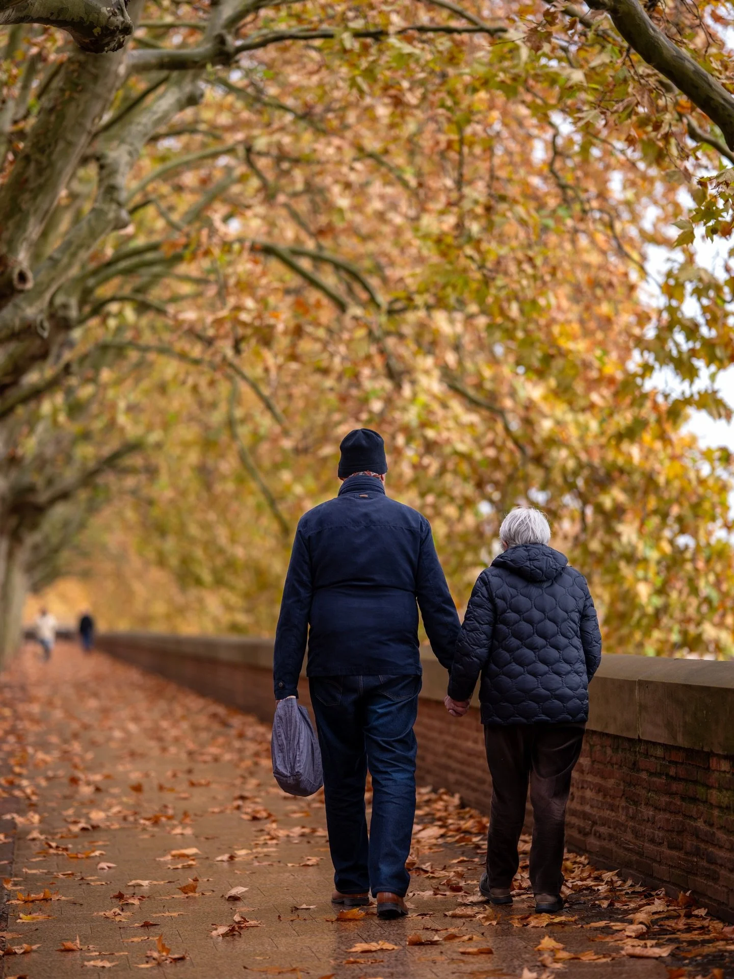 Balade automnale 🍂