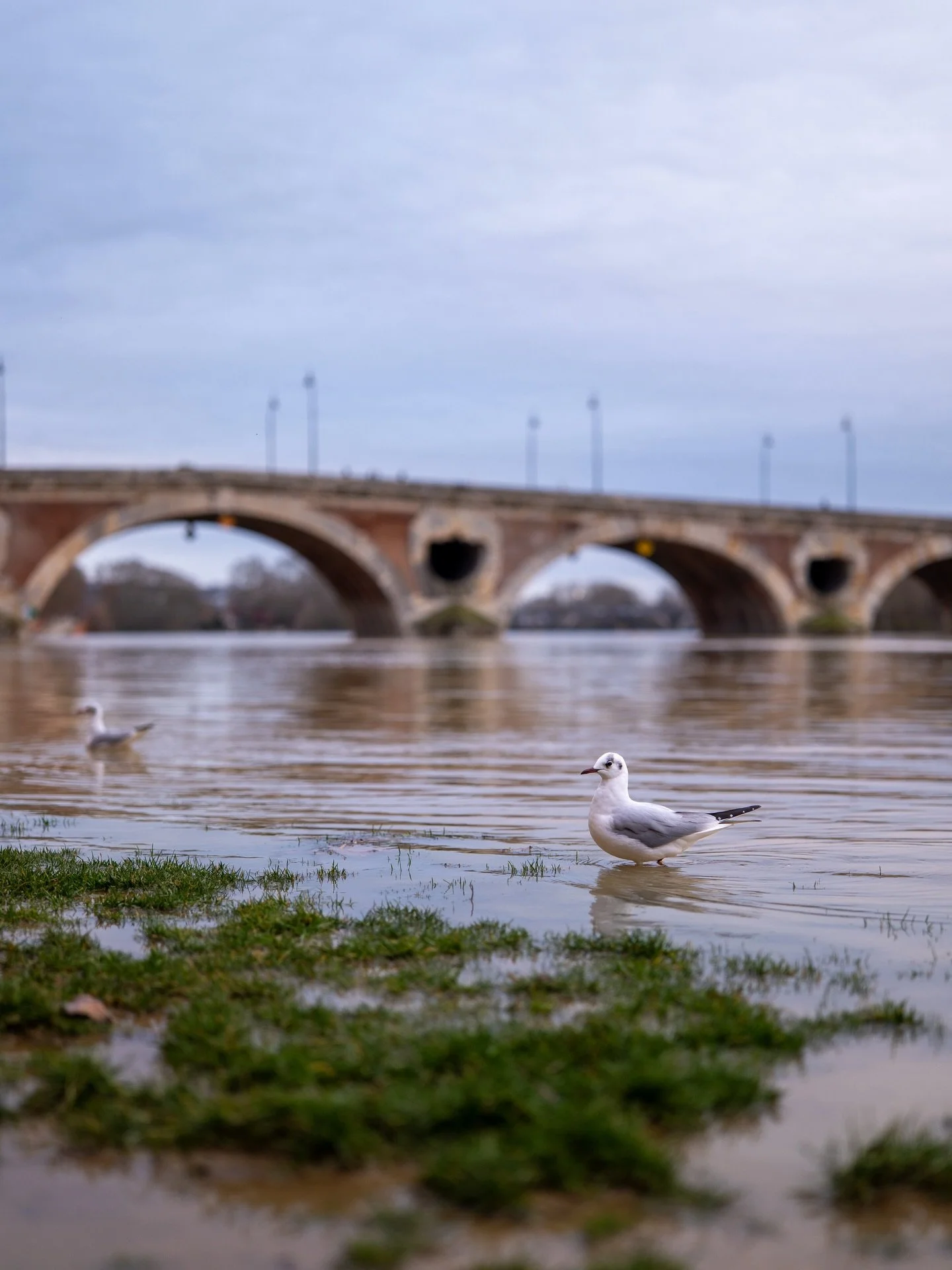 Certaines de ces photos apparaissent dans mon dernier reel alors foncez le voir si vous voulez savoir comment je m&rsquo;y prends. 
&Agrave; part &ccedil;a &ccedil;a va ?