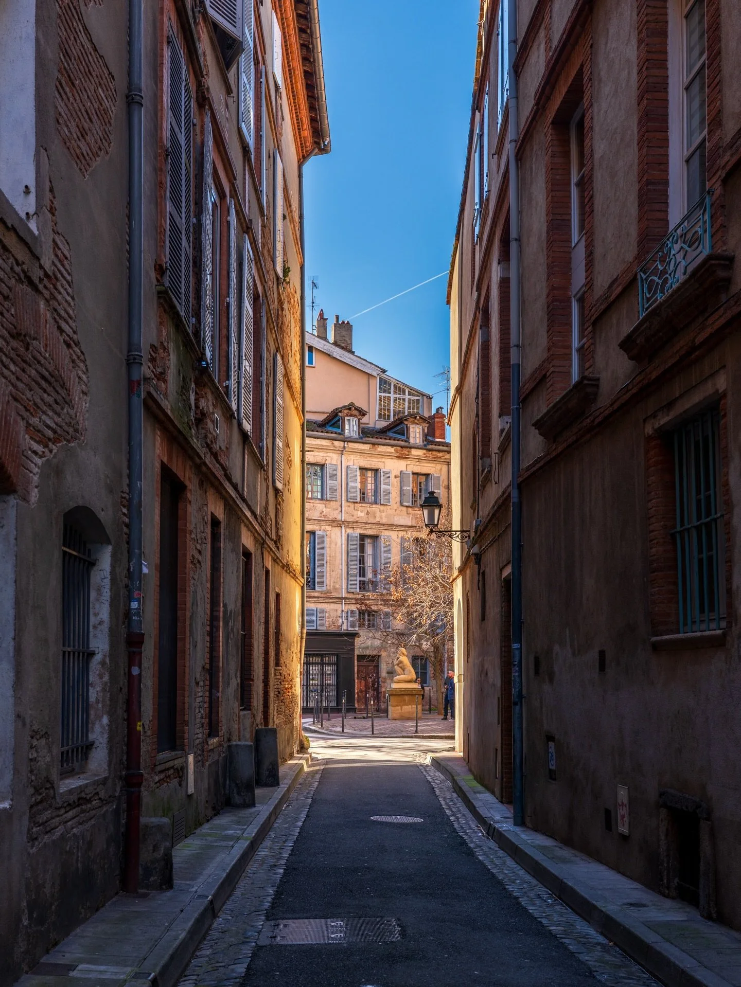 Toulouse et ses ruelles, Toulouse et ses habitants, Toulouse et ses chiens 🐶