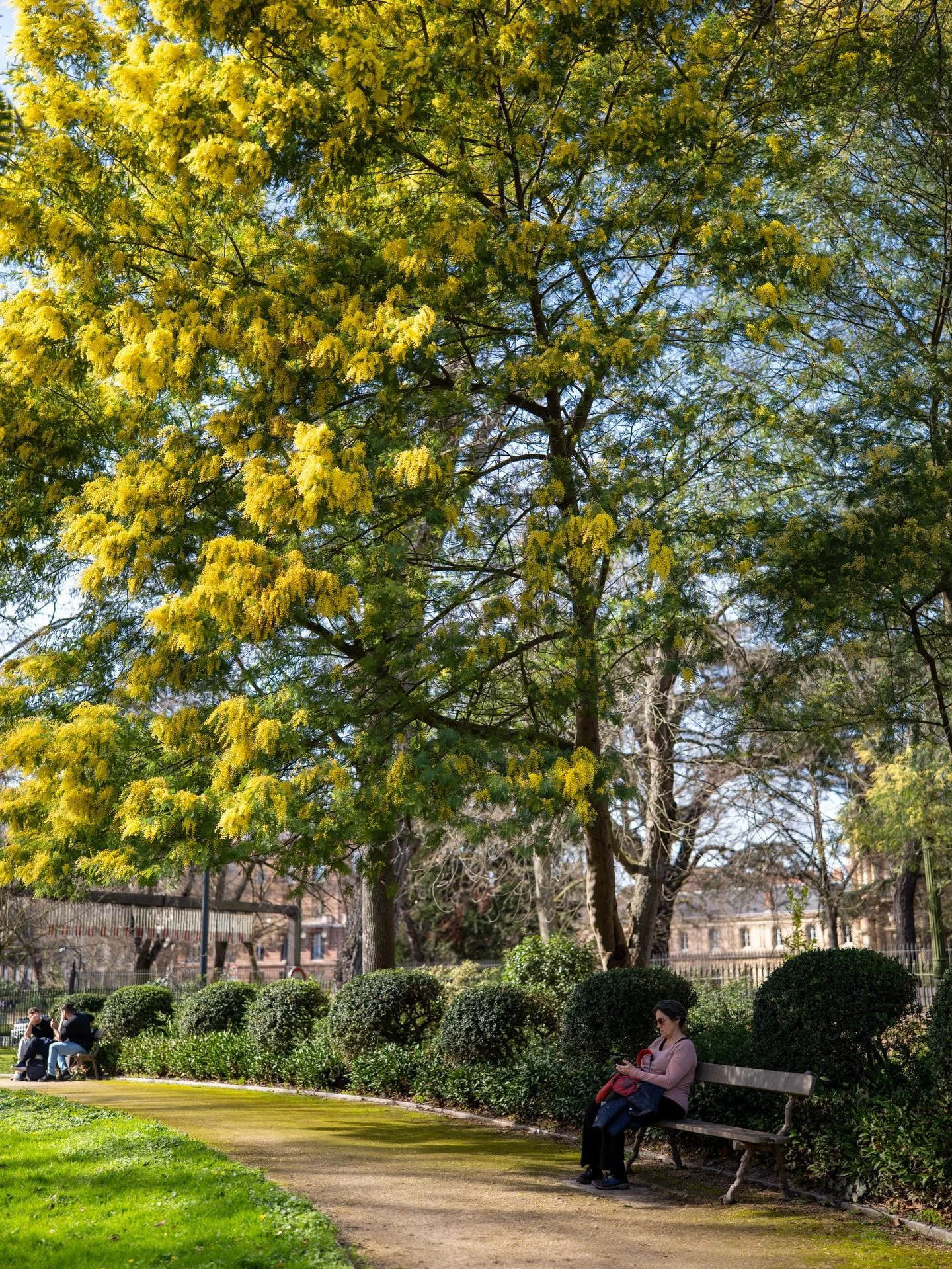 Un peu de verdure pour cette s&eacute;rie !
