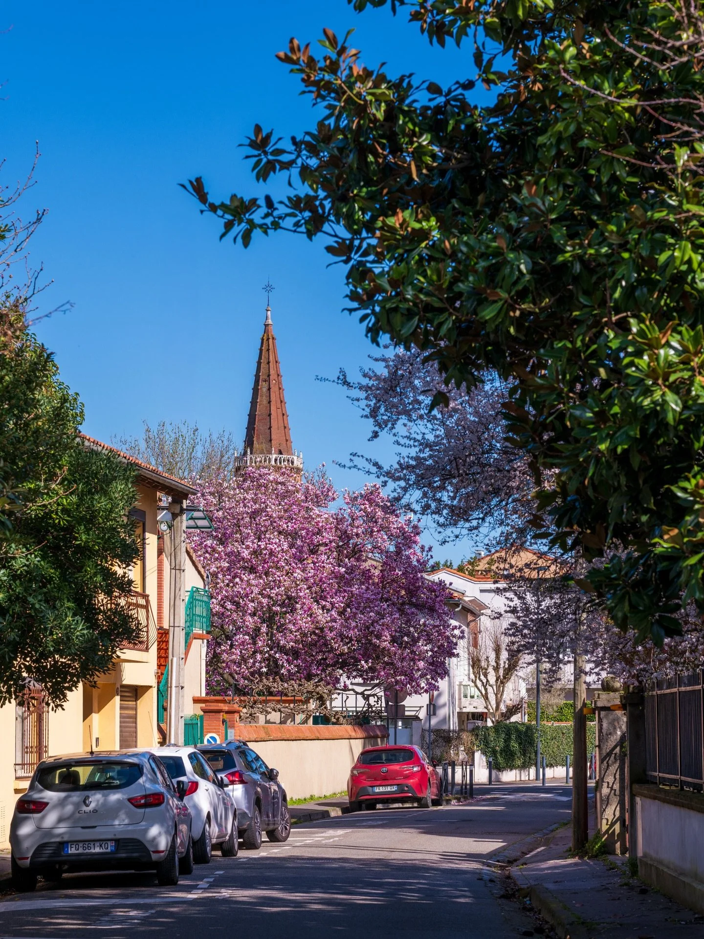 &Ccedil;a sent le printemps mais comme tous les ans je pense qu&rsquo;on s&rsquo;emballe un peu 😅
Merci @isalou31 pour le spot de la premi&egrave;re photo 🤗