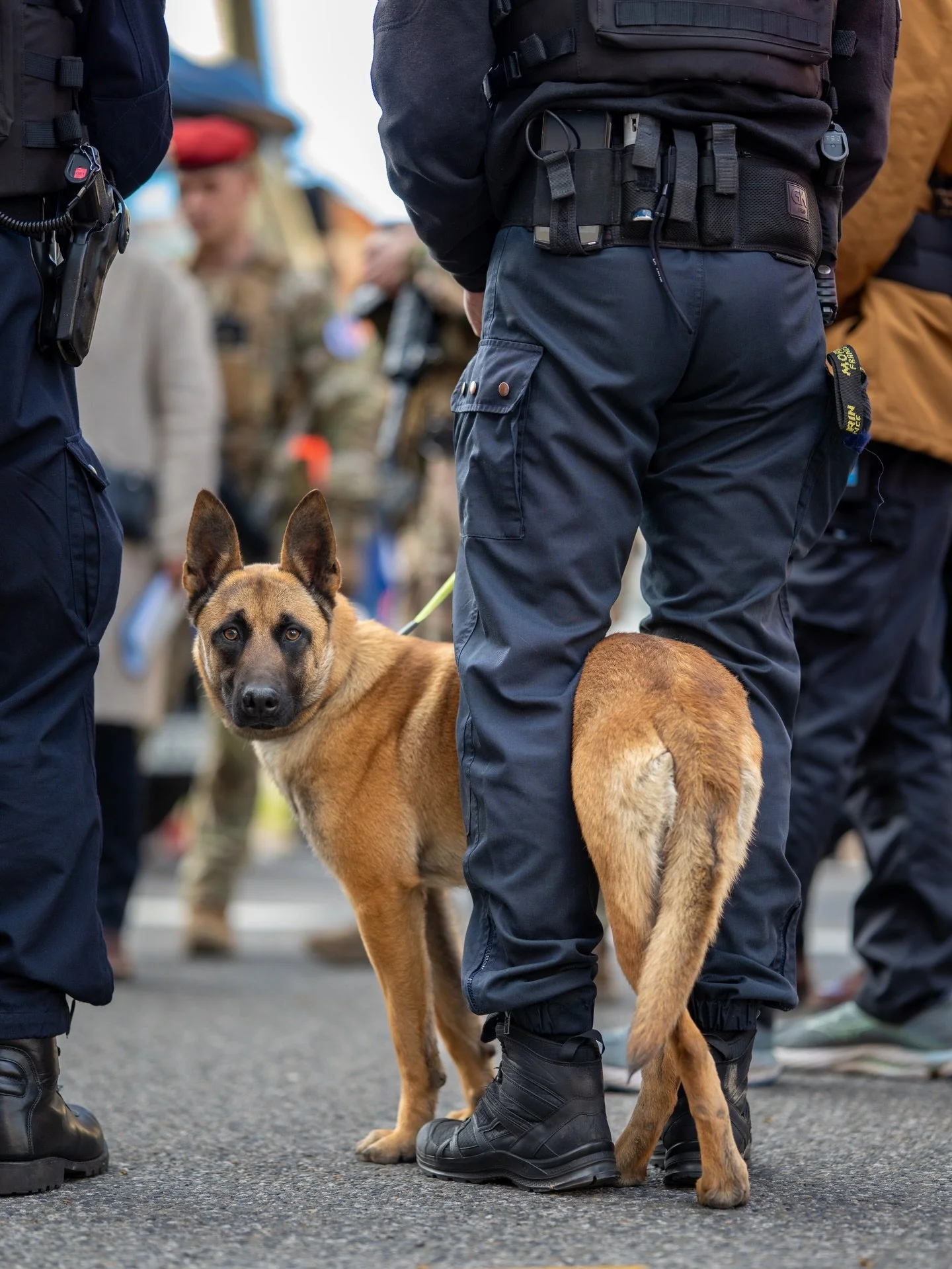 Photo 1 - D&eacute;ranger un travailleur en plein briefing carnaval 🐕 
Photo 2 - Reflet hilarant 🙂🙃
Photo 3 - Premi&egrave;re fois que je photographie cette ruelle avec une belle lumi&egrave;re, vous reconnaissez le monument ? 🙌
Photo 4 - Pas de 