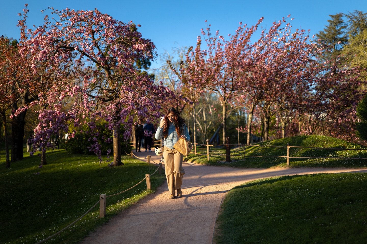 Lumi&egrave;re du soir, suppositoire