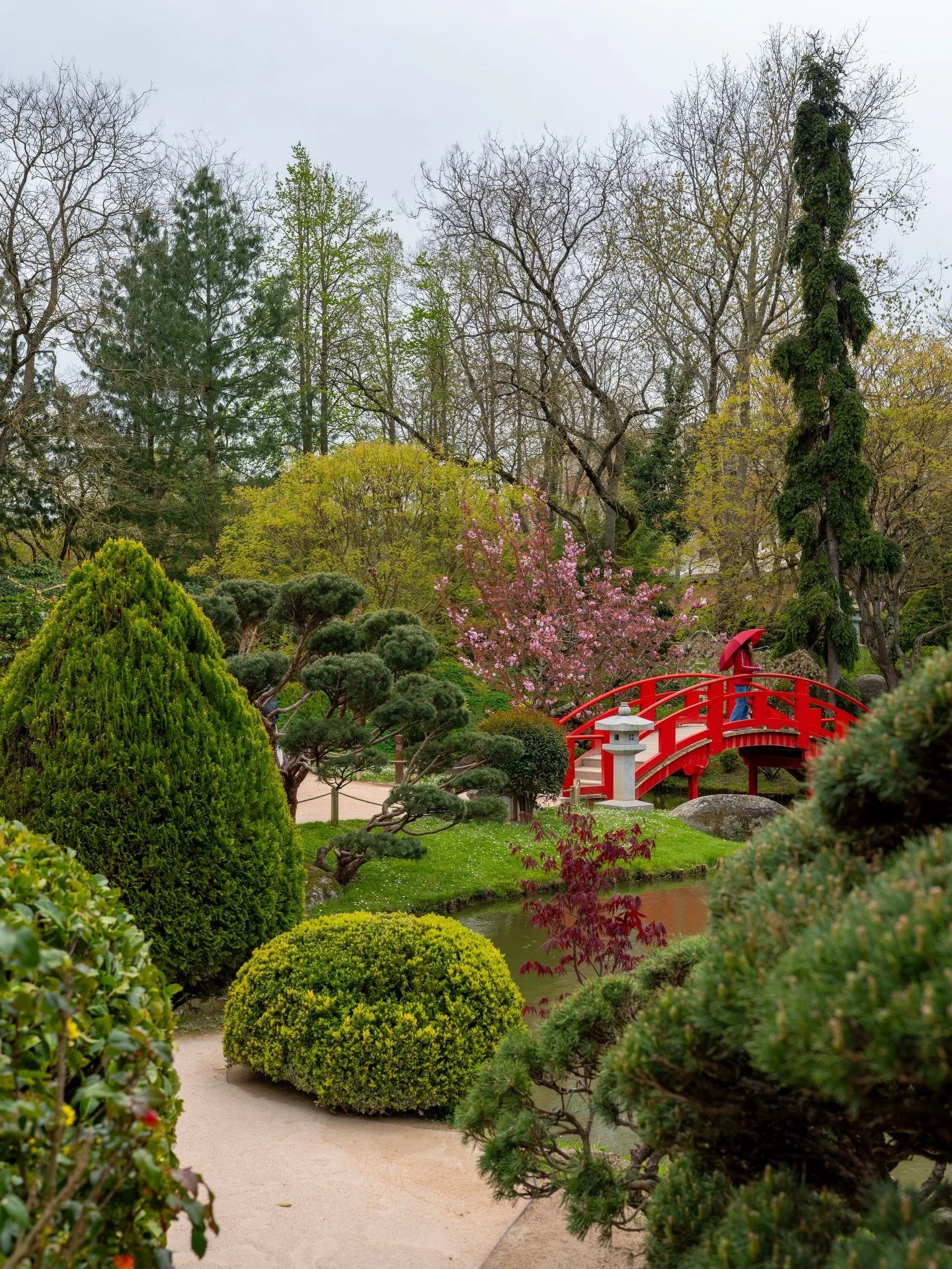 Photos un peu nulles du jardin japonais, j&rsquo;essaierai d&rsquo;en faire des bien mais cette ann&eacute;e il est tout moche 😬
Et puis trois photos &agrave; Compans.
