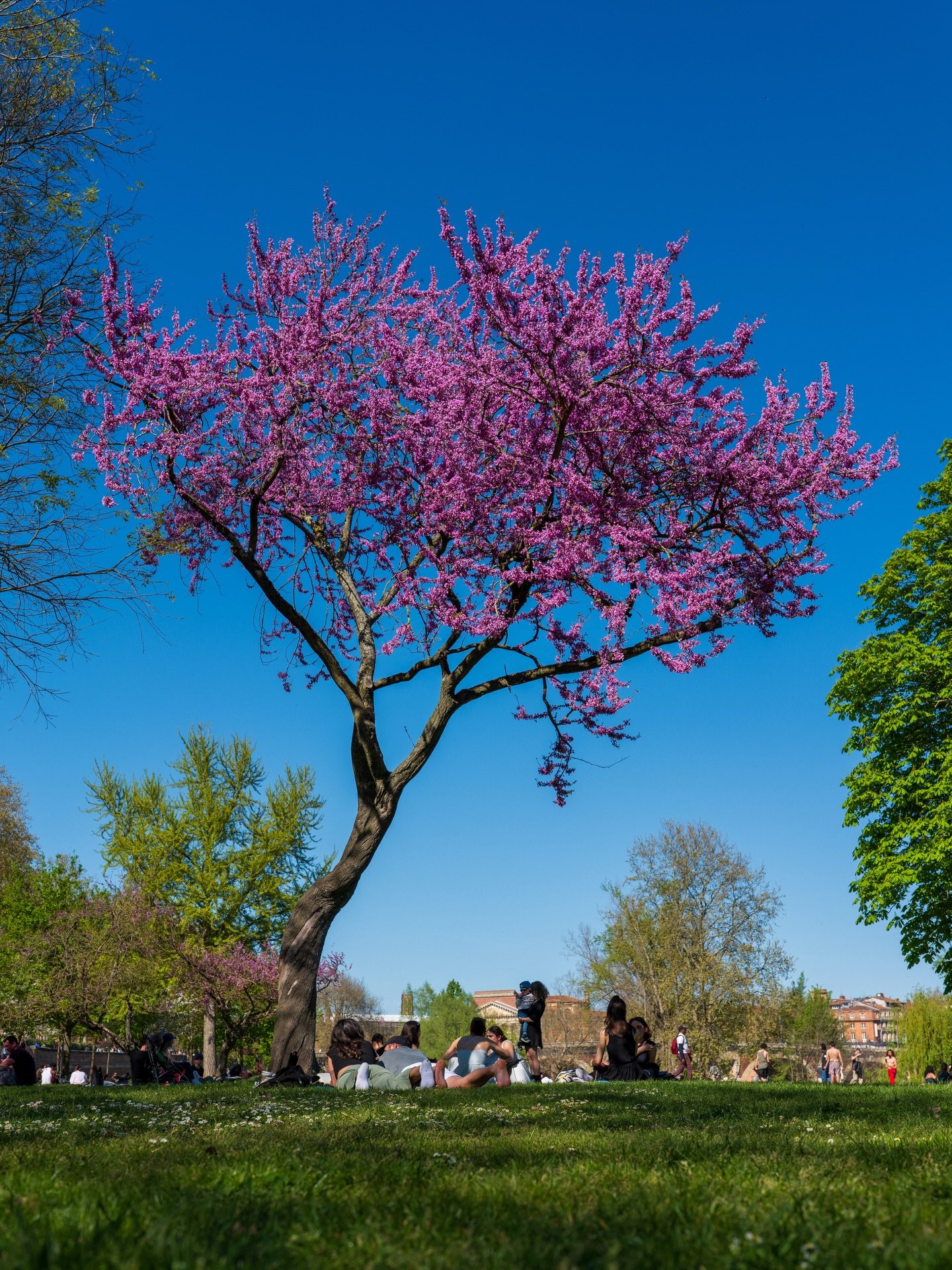 Le printemps&hellip; enfin ?