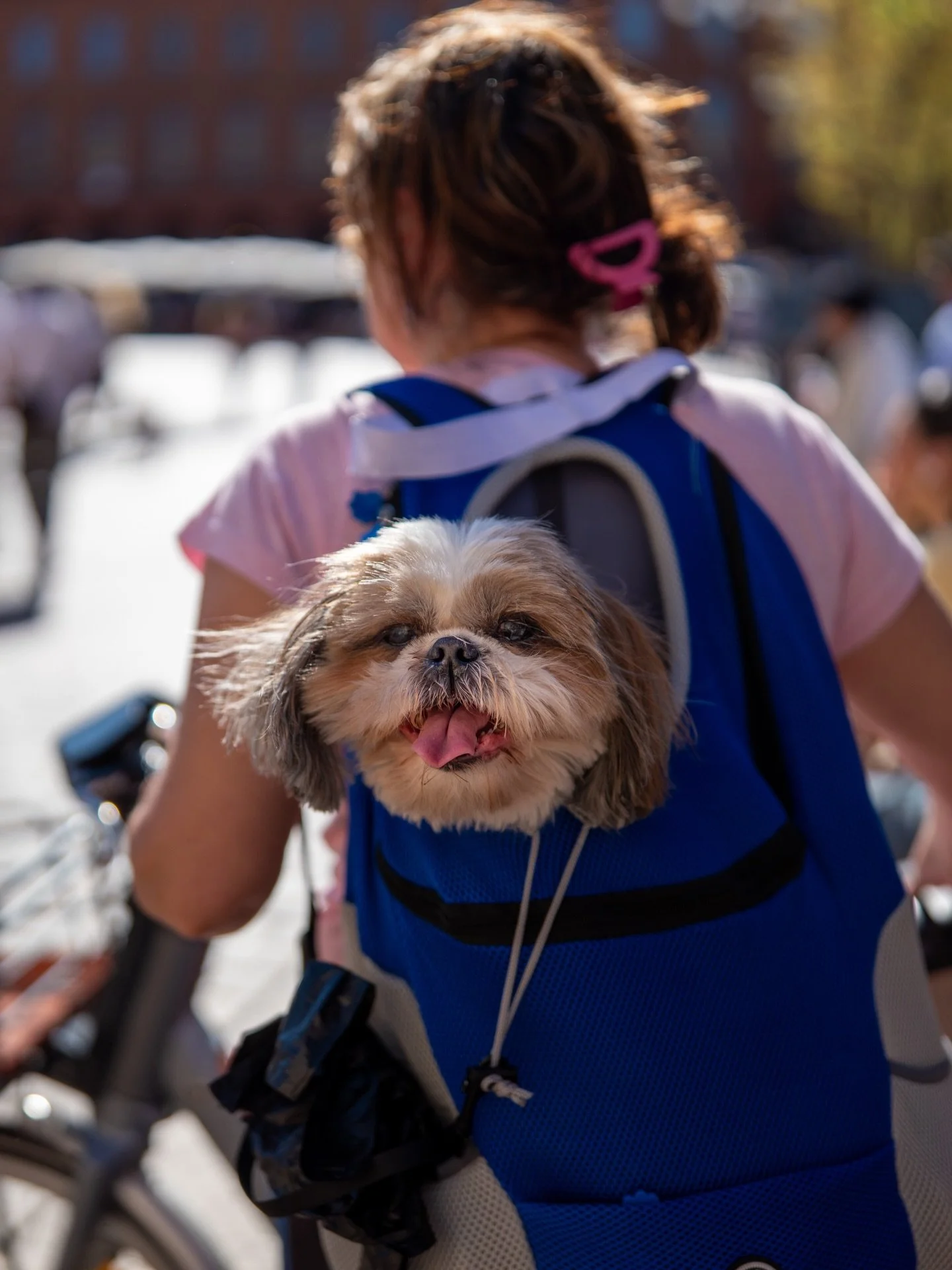 S&eacute;rie ensoleill&eacute;e !