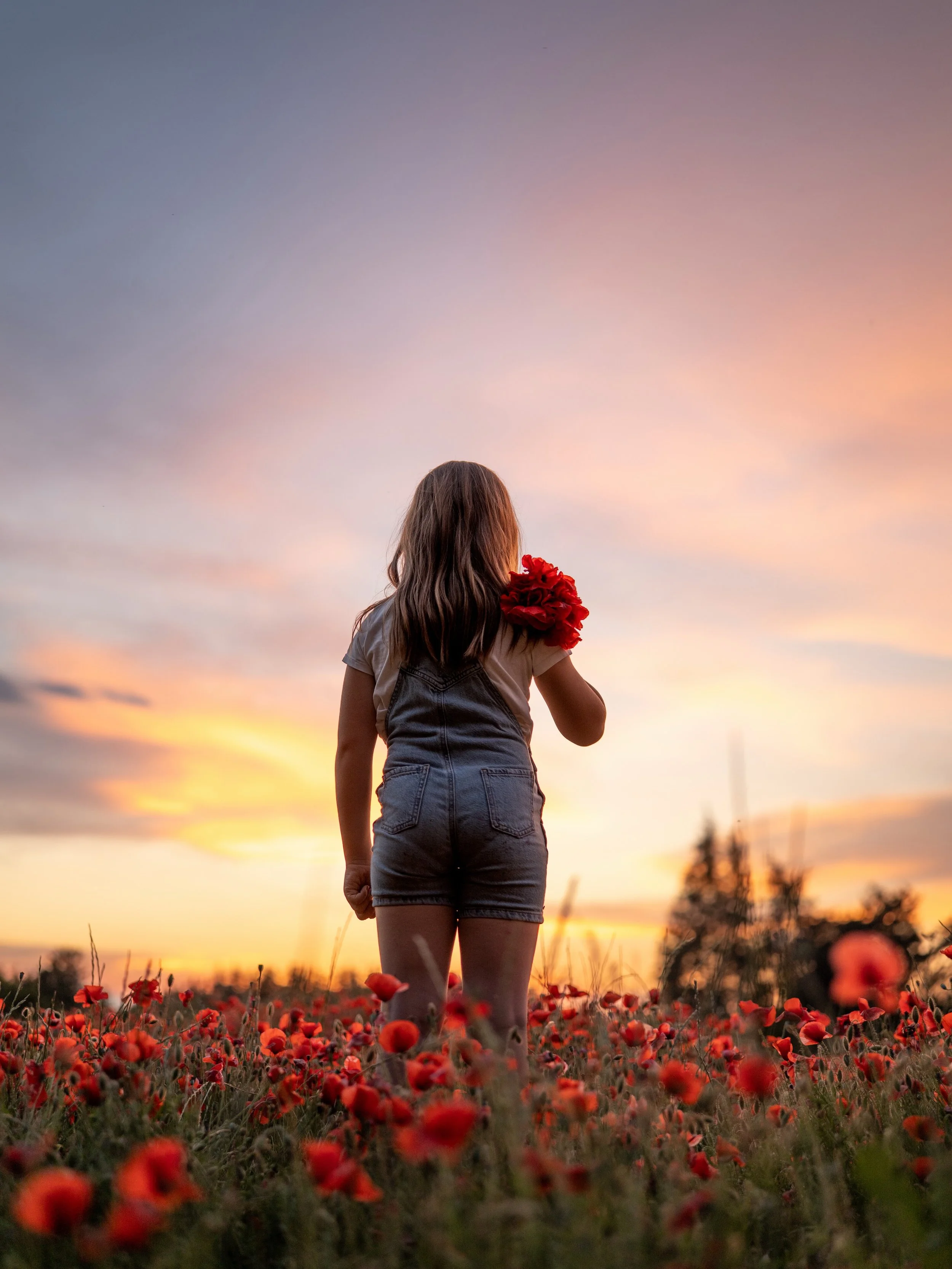 Shooting coquelicots