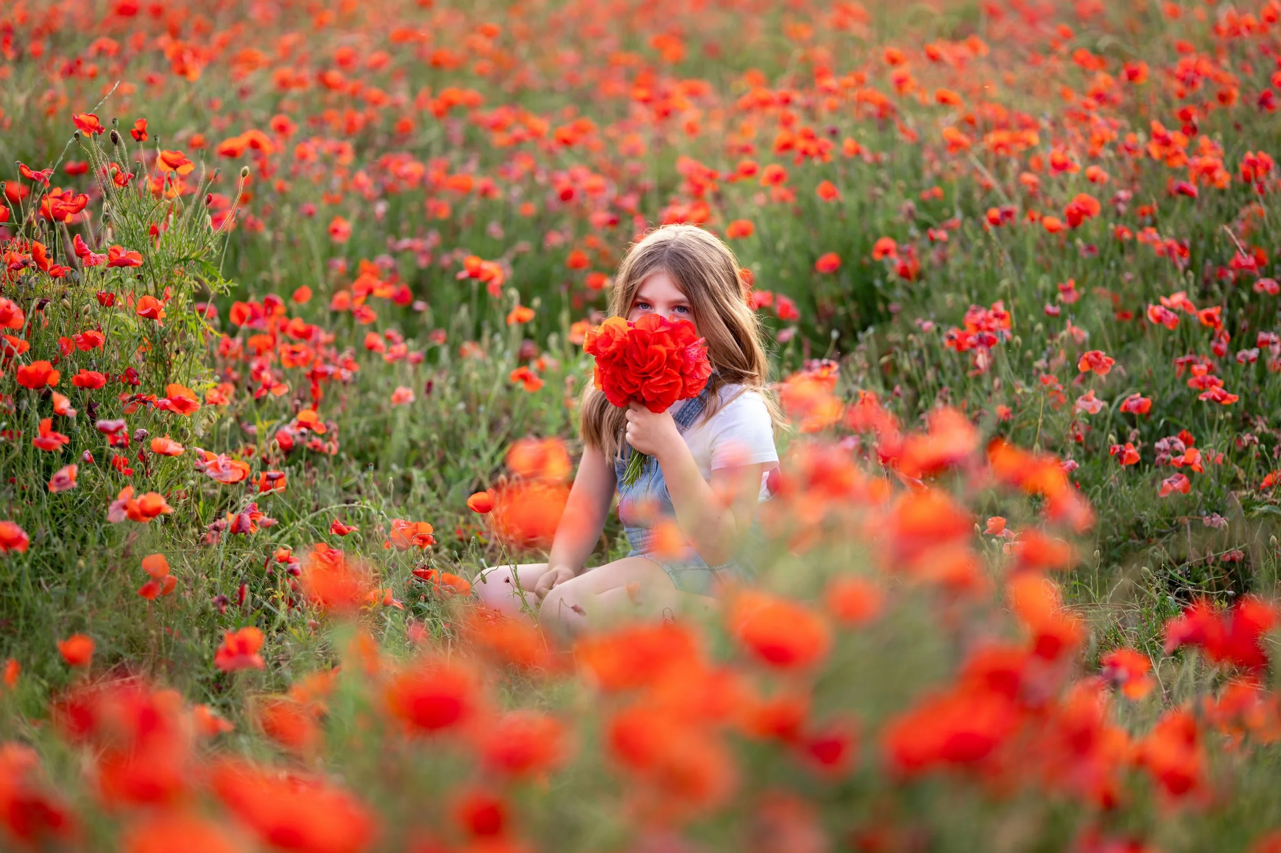 Shooting coquelicots