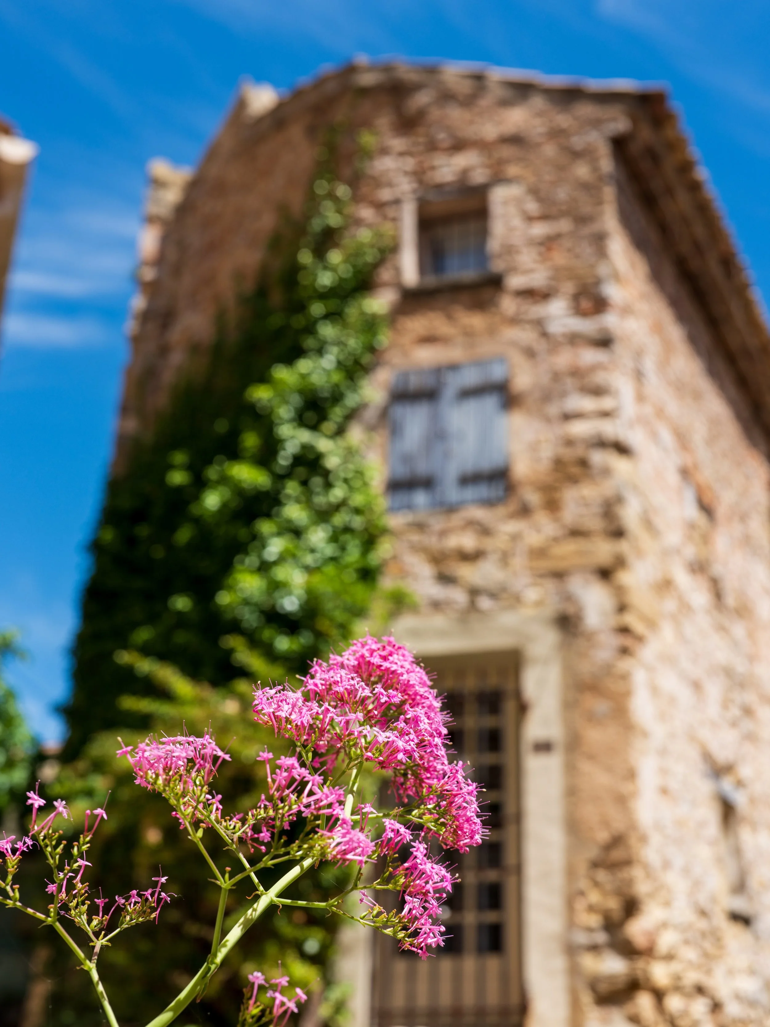 Les villages des Dentelles de Montmirail, l&rsquo;un des coins les plus sous-c&ocirc;t&eacute;s du Vaucluse !
D&rsquo;autres photos arrivent&hellip;