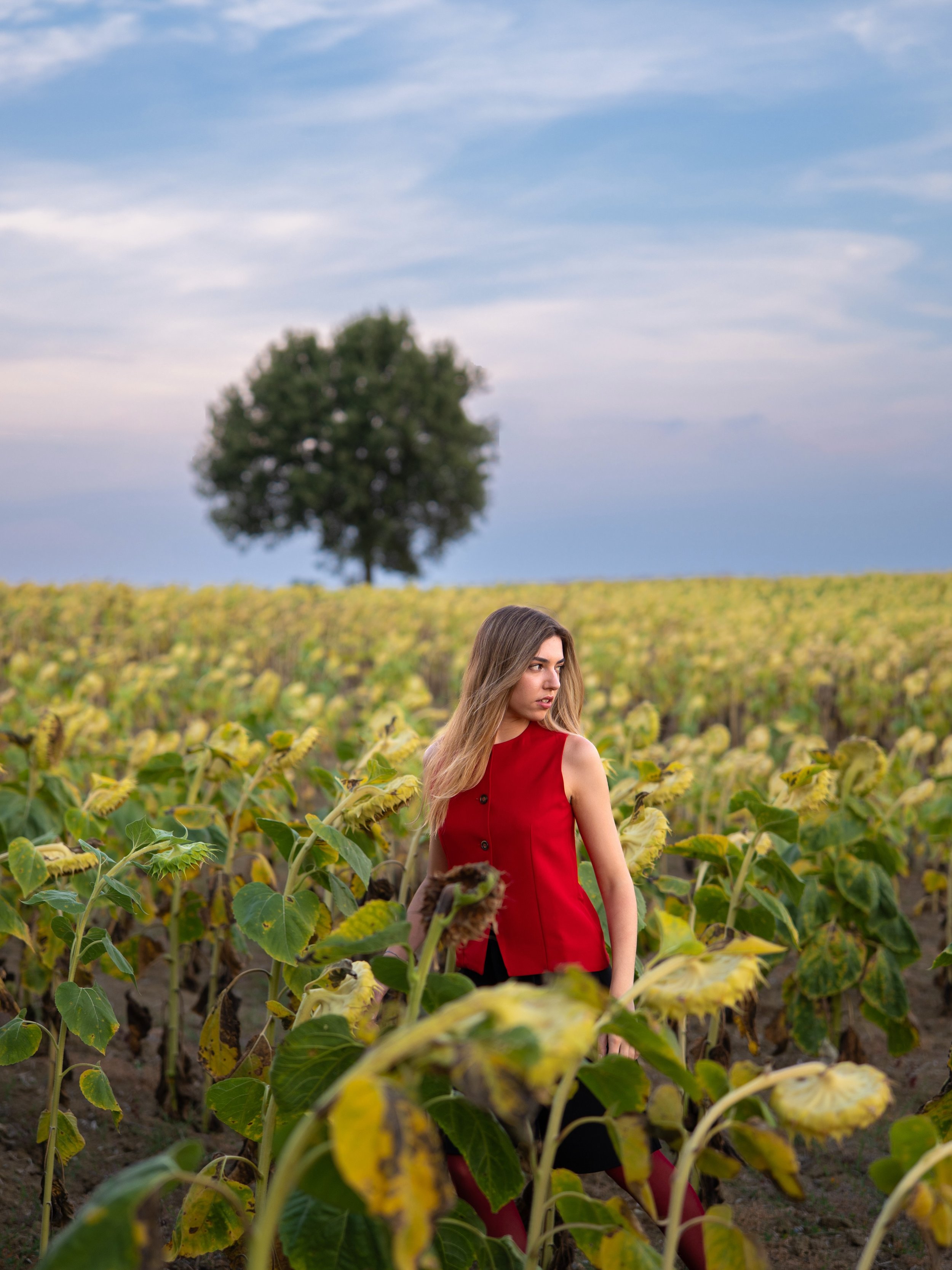 Avant l&rsquo;orage de dimanche soir et apr&egrave;s plus d&rsquo;un an sans shooting avec @lenaa.bssn, on s&rsquo;est donn&eacute; rdv dans un champ de tournesols&hellip; en mauvais &eacute;tat 😅
Bon on n&rsquo;a pas cherch&eacute; &agrave; les cac