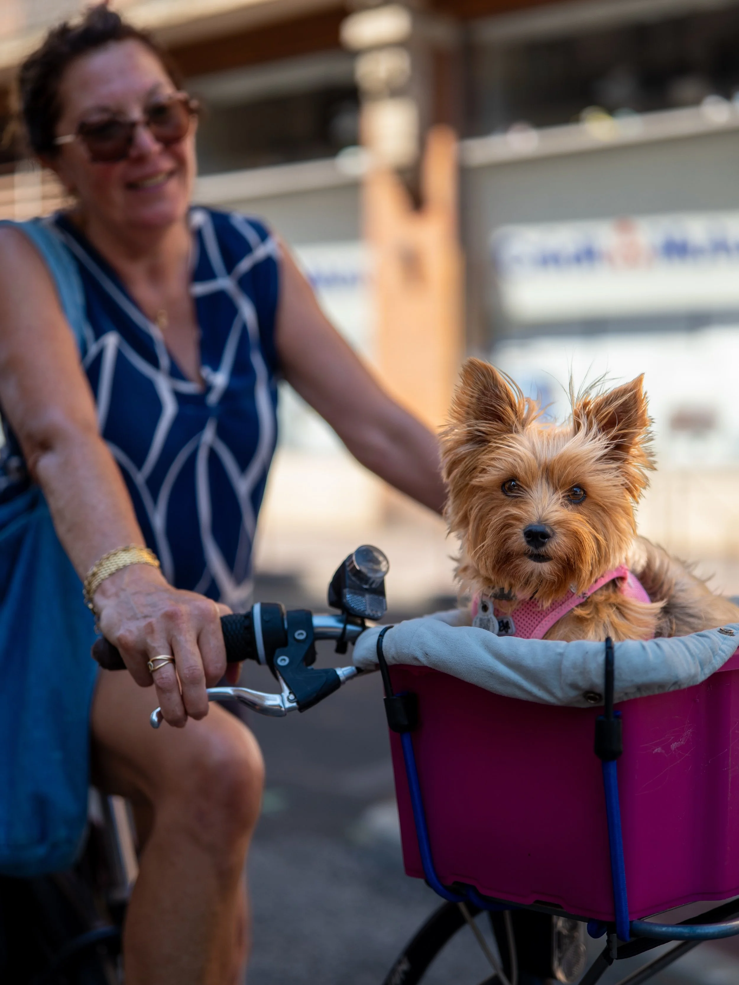 Un week-end &agrave; Toulouse. &Ccedil;a a &eacute;t&eacute; intense photographiquement parlant ces derni&egrave;res semaines, le retour au quotidien est un peu difficile 🥲