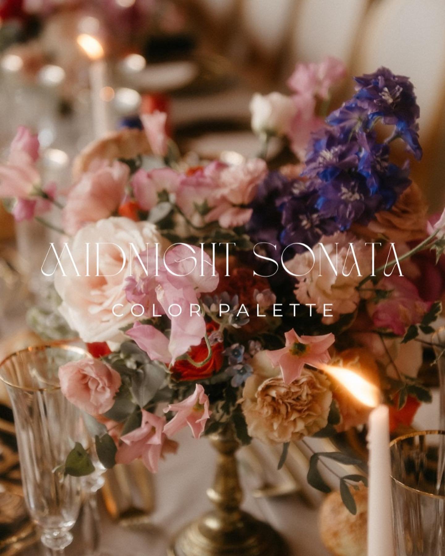 Reflecting on another stunning color palette from the past: &sbquo;Midnight Sonata&lsquo; 🌙✨

Are you struggling to choose the perfect colors for your wedding or need help with the overall styling? Let us guide you in creating your dream color schem