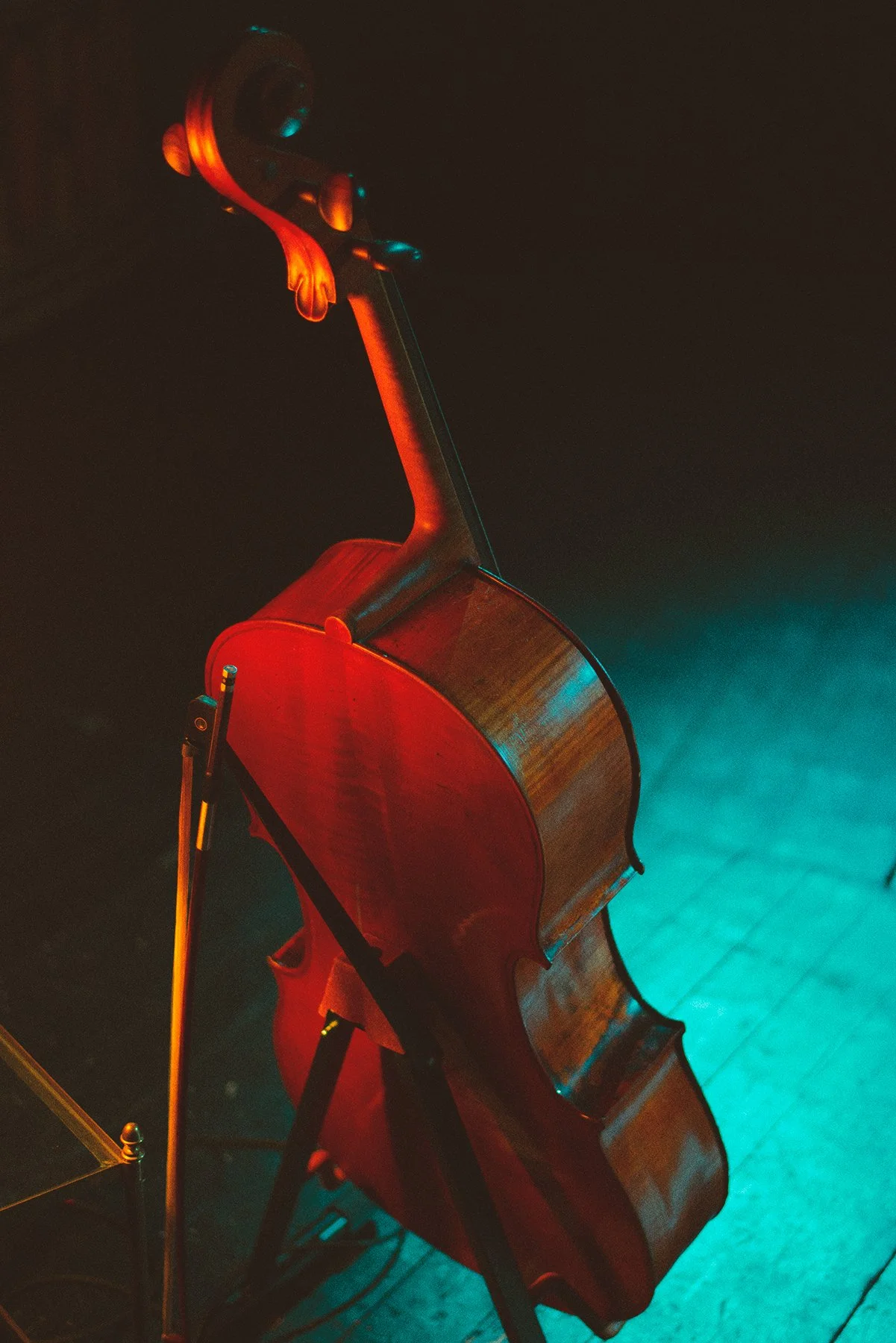 rachel bulgarelli violoncelle 3