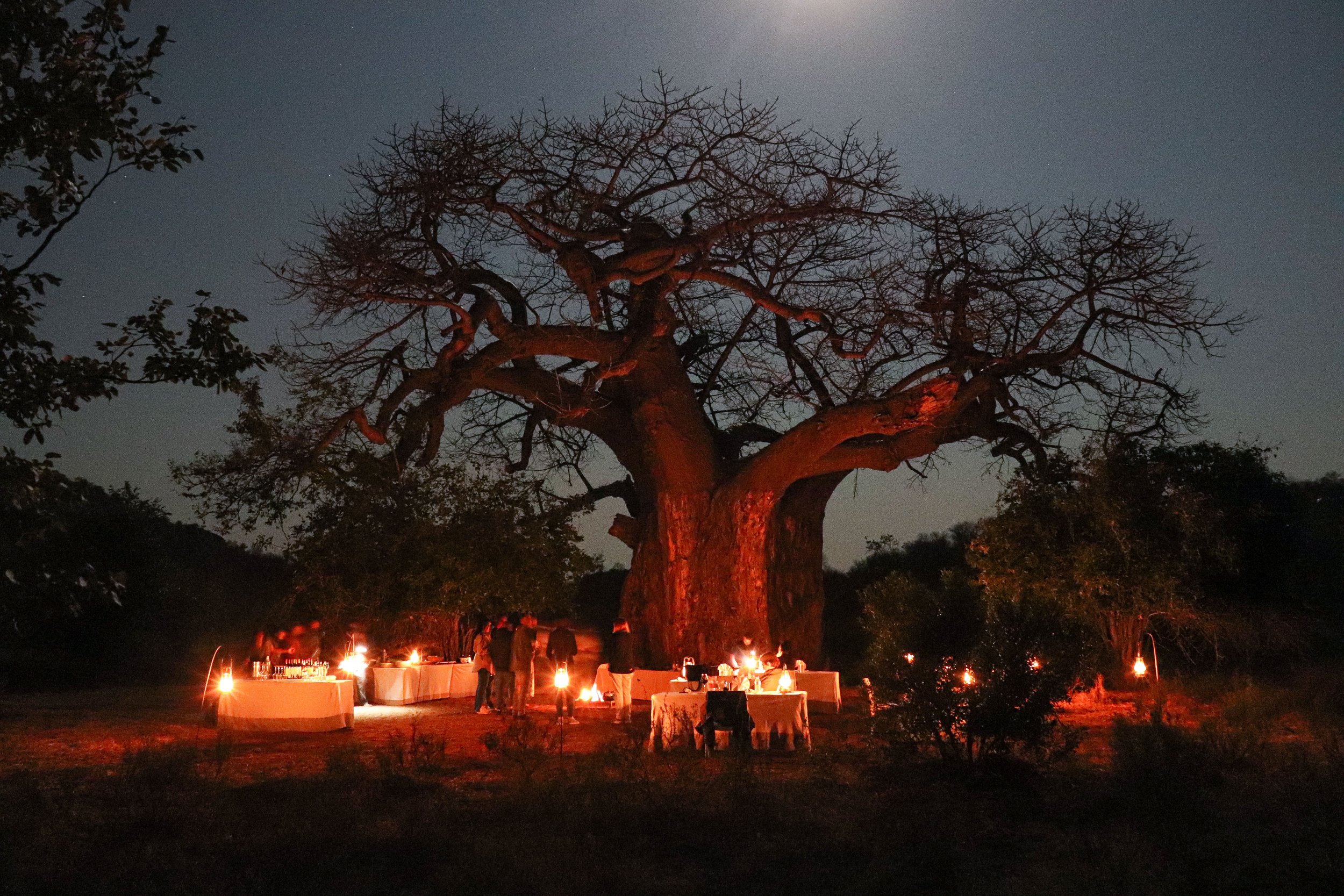 Baobab Bush Dinner.jpg