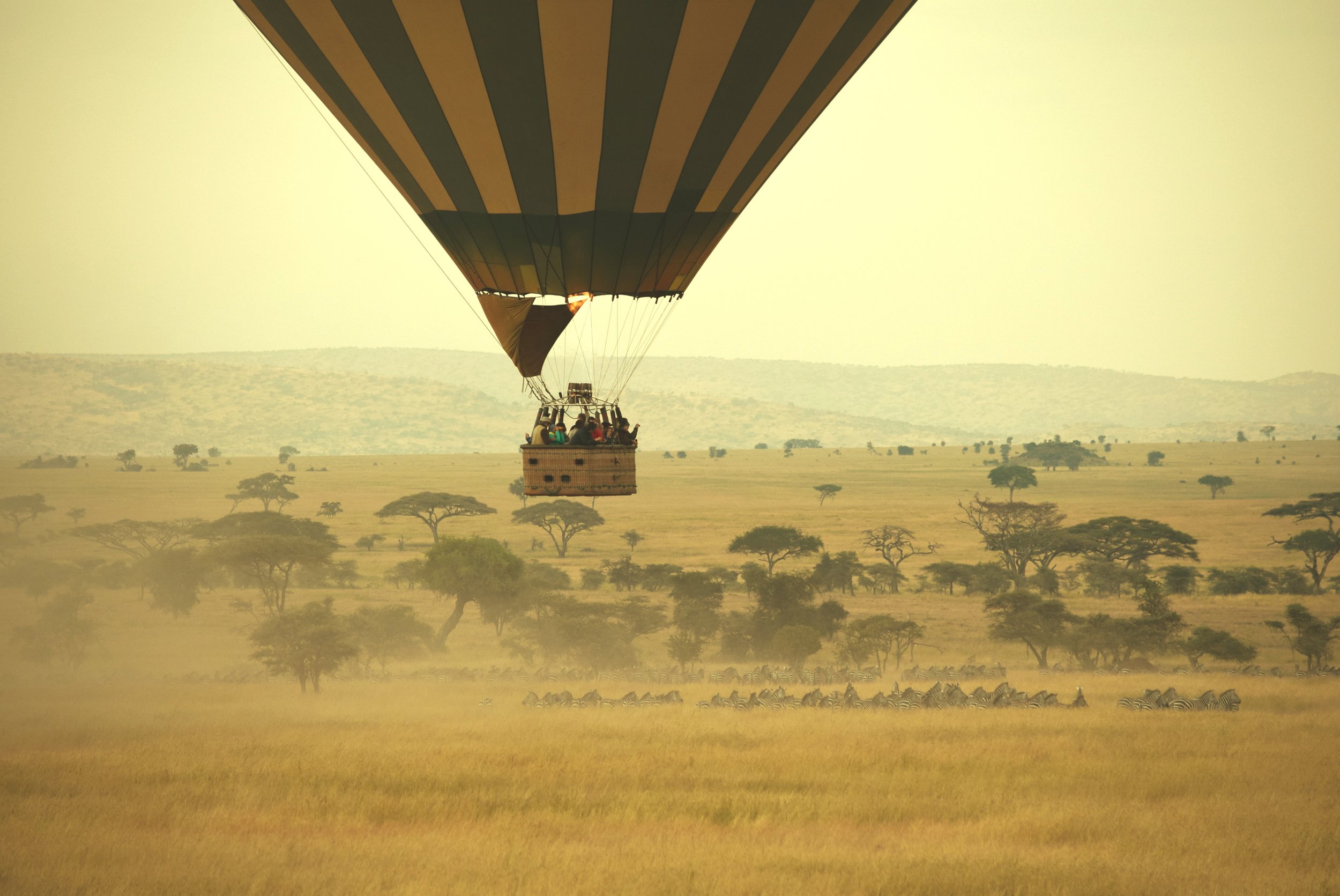Serengeti Balloon Safari.jpg