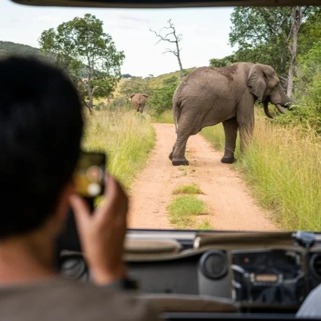 Great news &ndash; on 1st December 2025 Unique Air will be launching a new shuttle charter service from Johannesburg&rsquo;s OR Tambo International Airport directly into the Welgevonden Game Reserve.

There will be 3 flights a week, on Mondays, Wedne