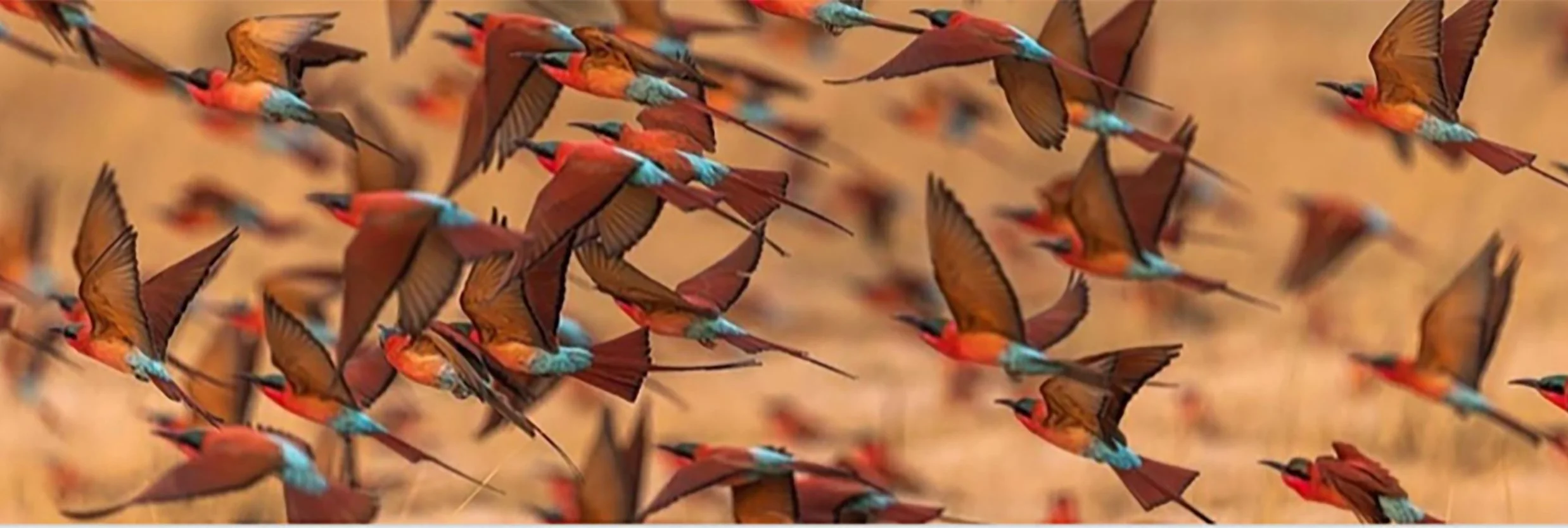 Sept 2025 Newsletter 