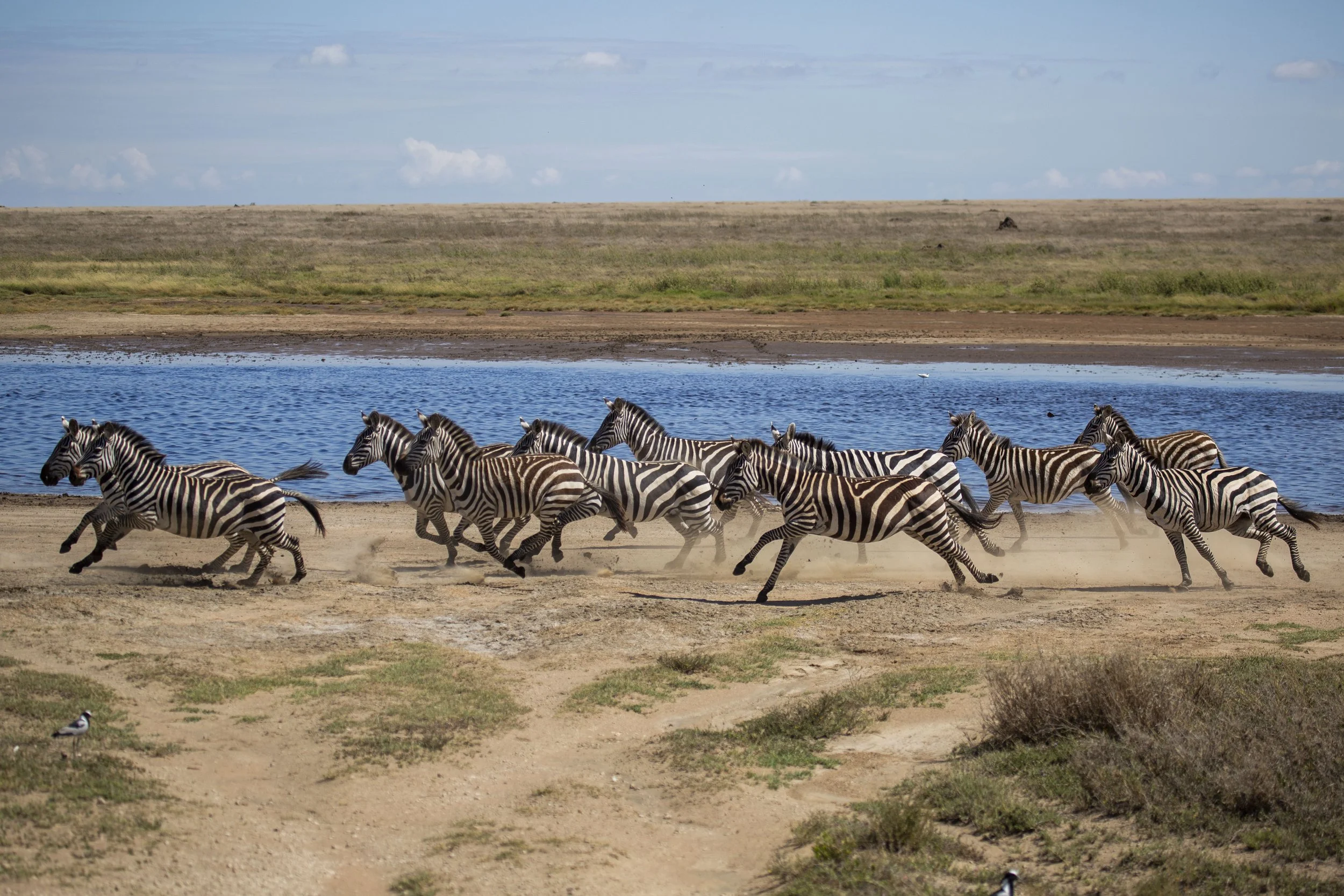 20251101_Lemala_Nanyuki_232.jpg