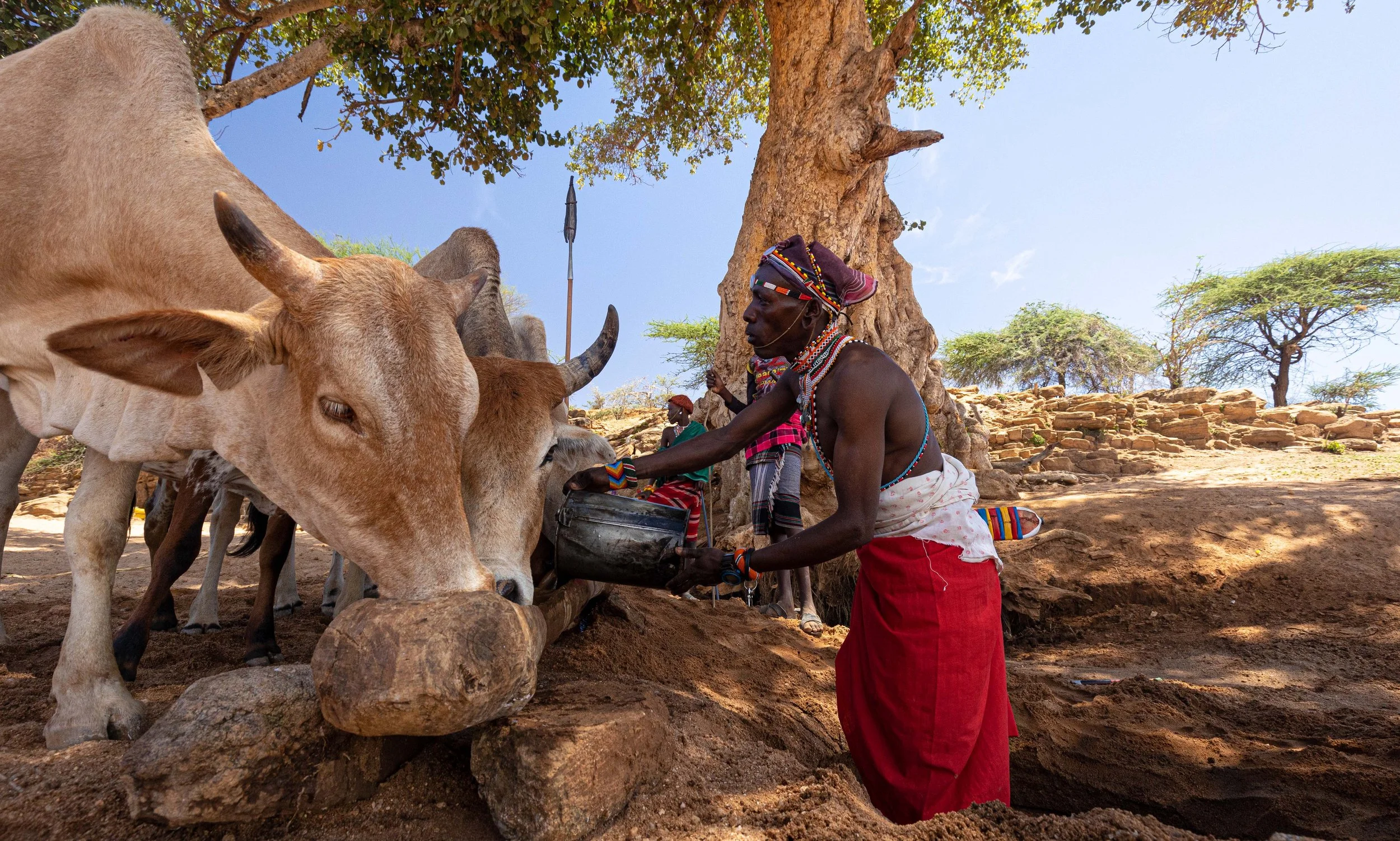 A Story of Partnership: Why Ol Lentille Feels Different