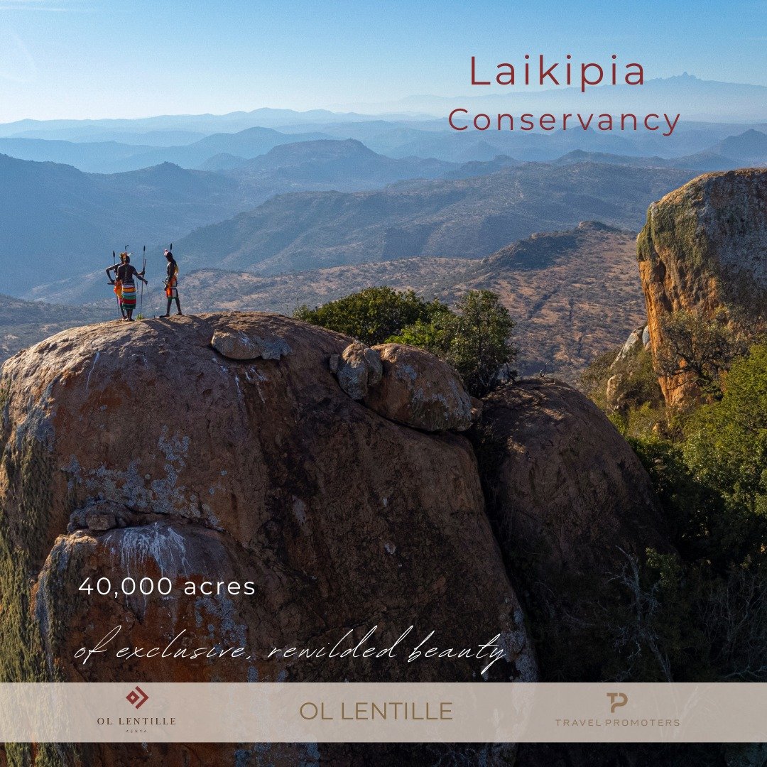 We wanted to share Ol Lentille with you from a slightly different angle &mdash; something that stays with you, the way this place stayed with us. 

What drew us in, and why we speak about it the way we do.

Ol Lentille is special. Not just because it