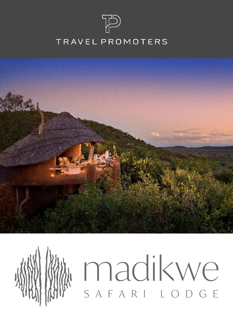 Madikwe Safari Lodge | South Africa