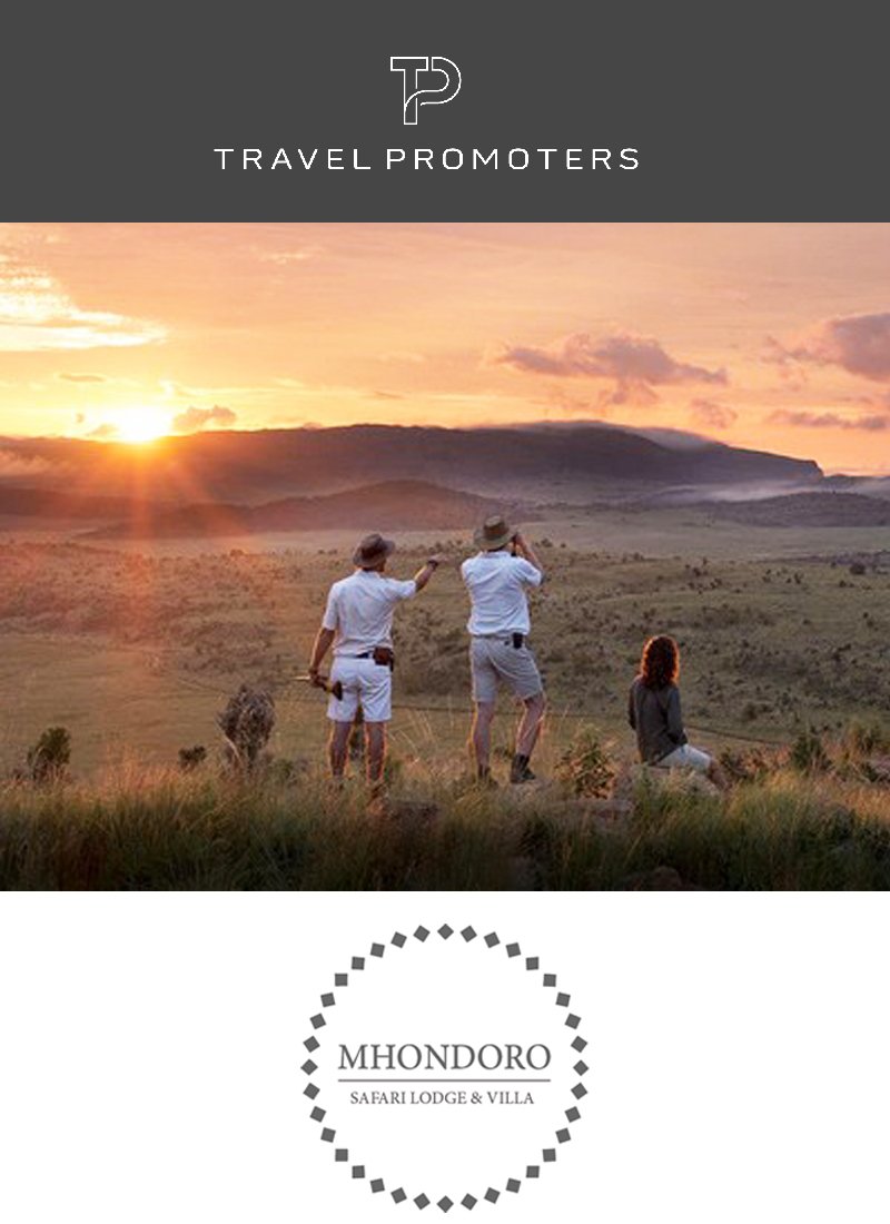 Mhondoro Safari Lodge &amp; Villa | South Africa