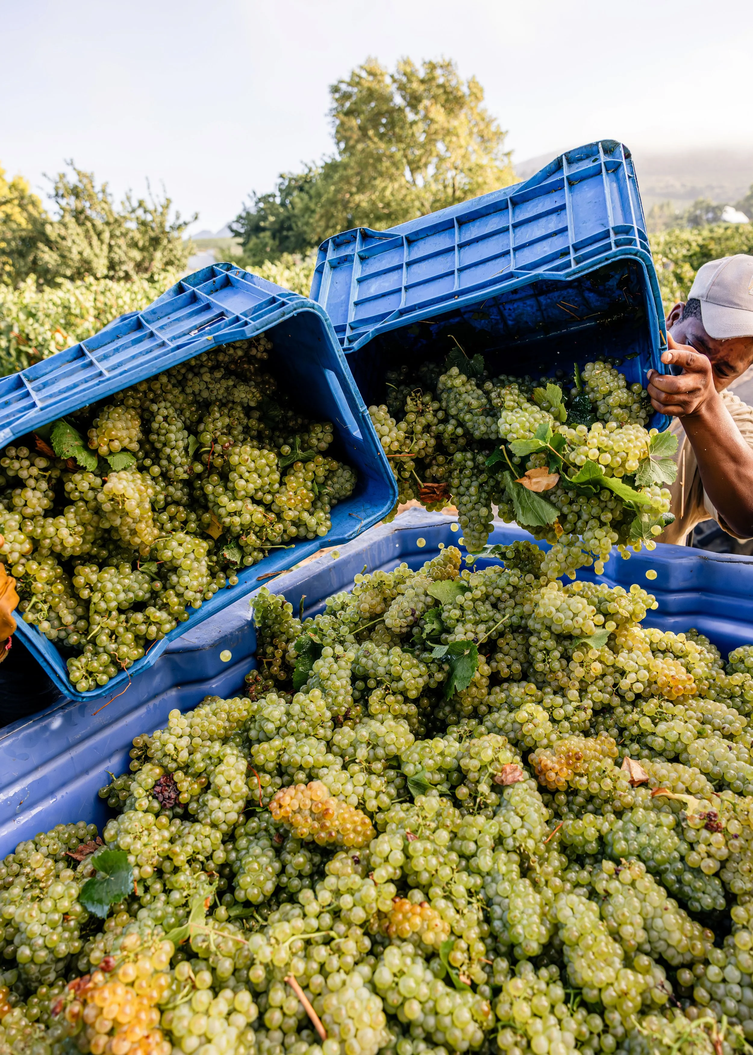 parade smaller 3.jpg