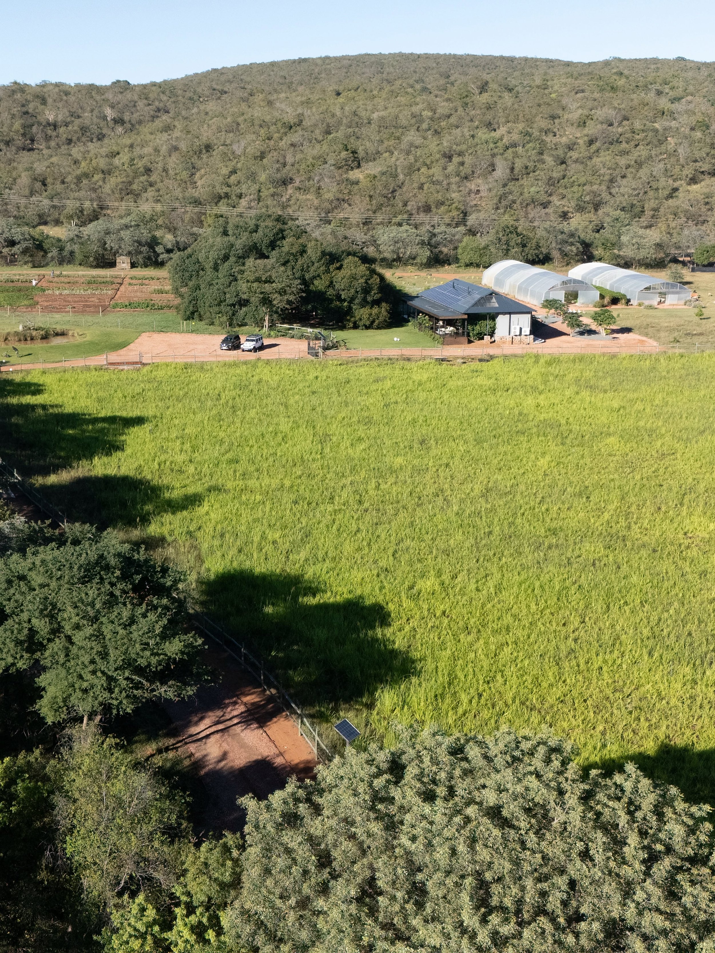 Mhondoro Eco Farm: A Beautiful Beginning To Your Safari  