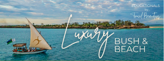 Luxury Bush &amp; Beach Educational Invitation 