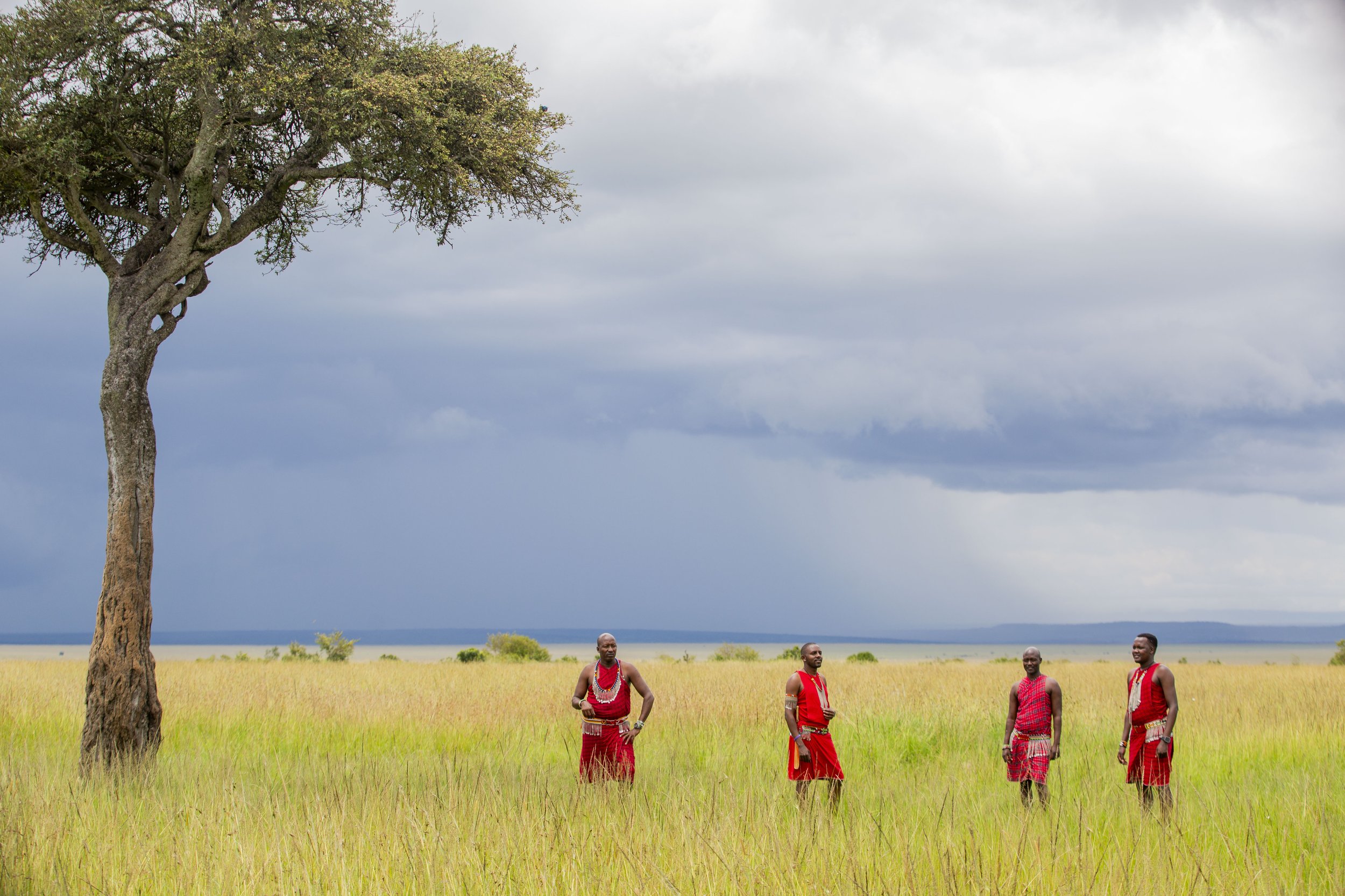 20260320_Mara_Bushtops_187.jpg