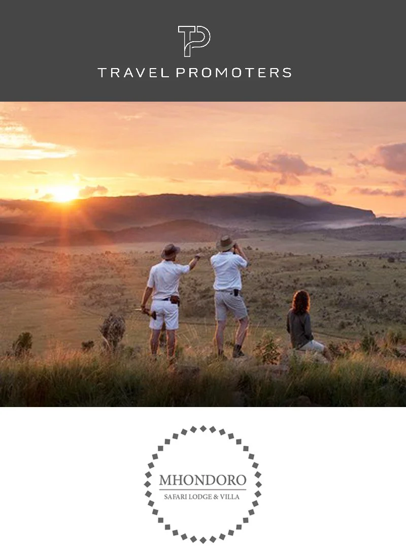 Mhondoro Safari Lodge & Villa | South Africa