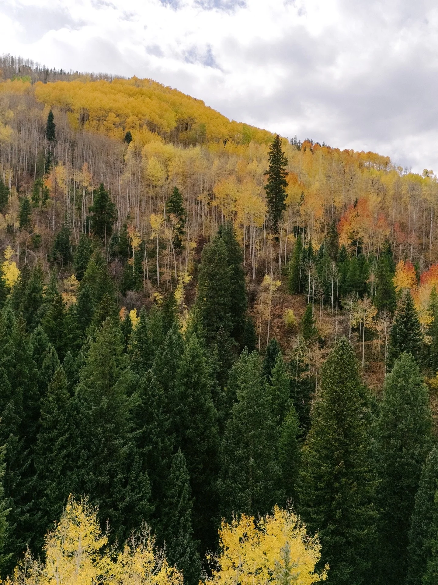 September &amp; October🍂 You already know I celebrate September like a whole damn holiday, &amp; October always seems to remind me to pay attention - this one especially. 

Jam packed joy across 3 time zones of my happiest places (🇮🇹, vail, &amp; 