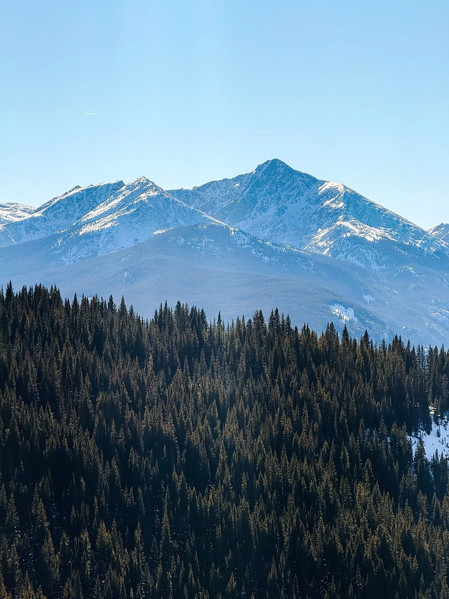 January Camera Roll Dump to savor forever🩵 There&rsquo;s just something about the 300 days of January that seem to fill me up and slow me down, all at once. Time away from Chicago in the sunshine &amp; mountains with people that feel like home, cele