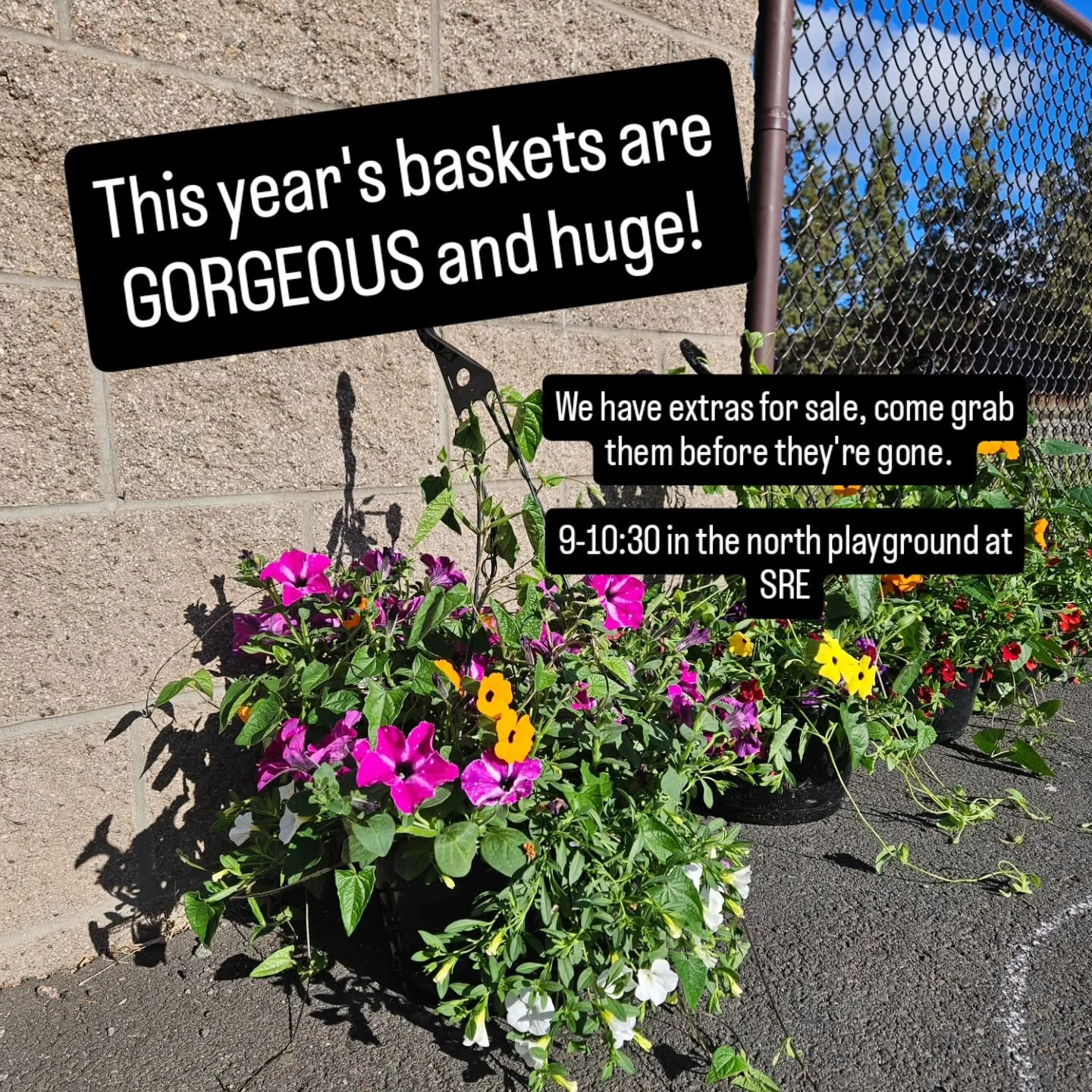 These baskets are gorgeous this year! Come grab them from 9-10:30 at SRE!