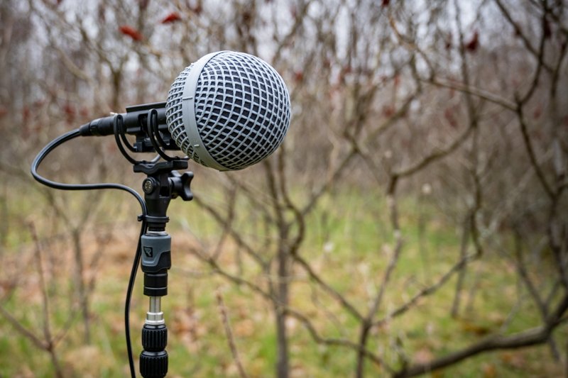 Microphones — Nature is my Jam