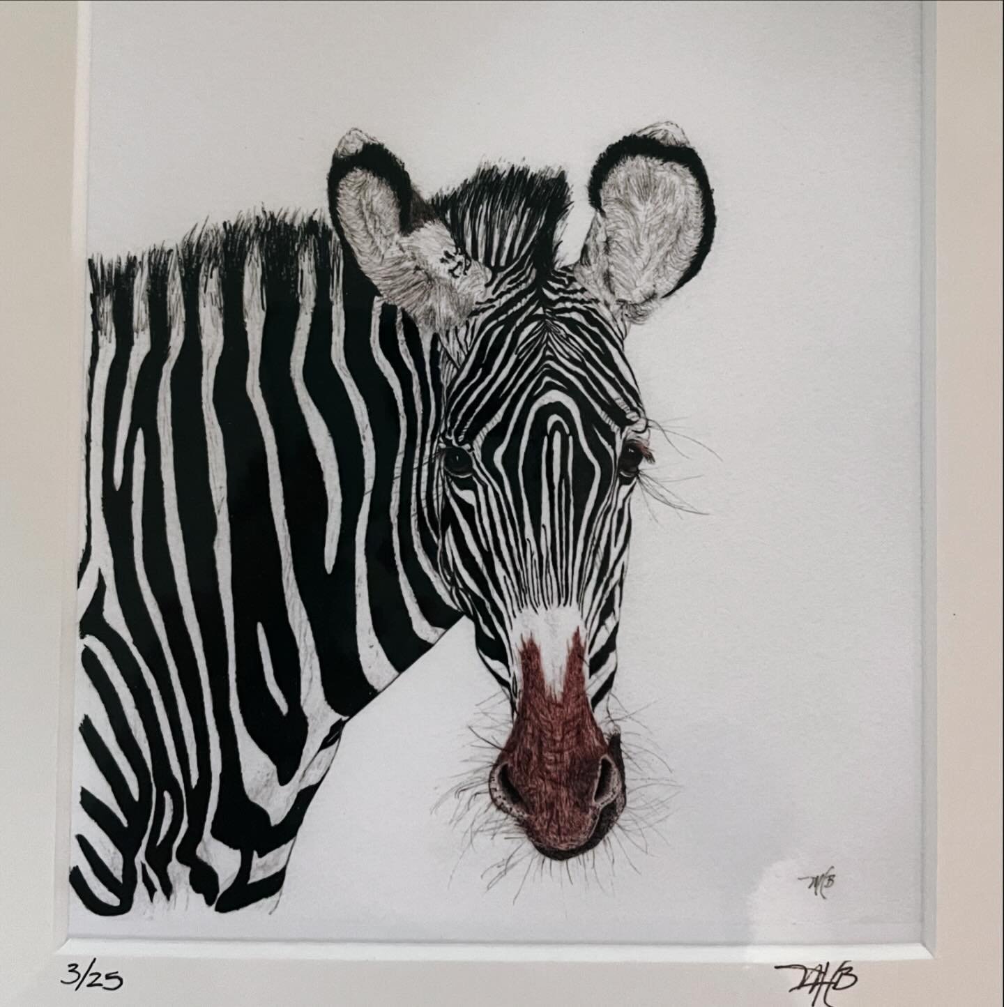 It arrived! Beyond thrilled to now own this print by the talented @maureenc.berry . Zebras play a critical role in my forthcoming book ~ and this is such a beautiful and meaningful rendering. Thank you Maureen! 💜🦓