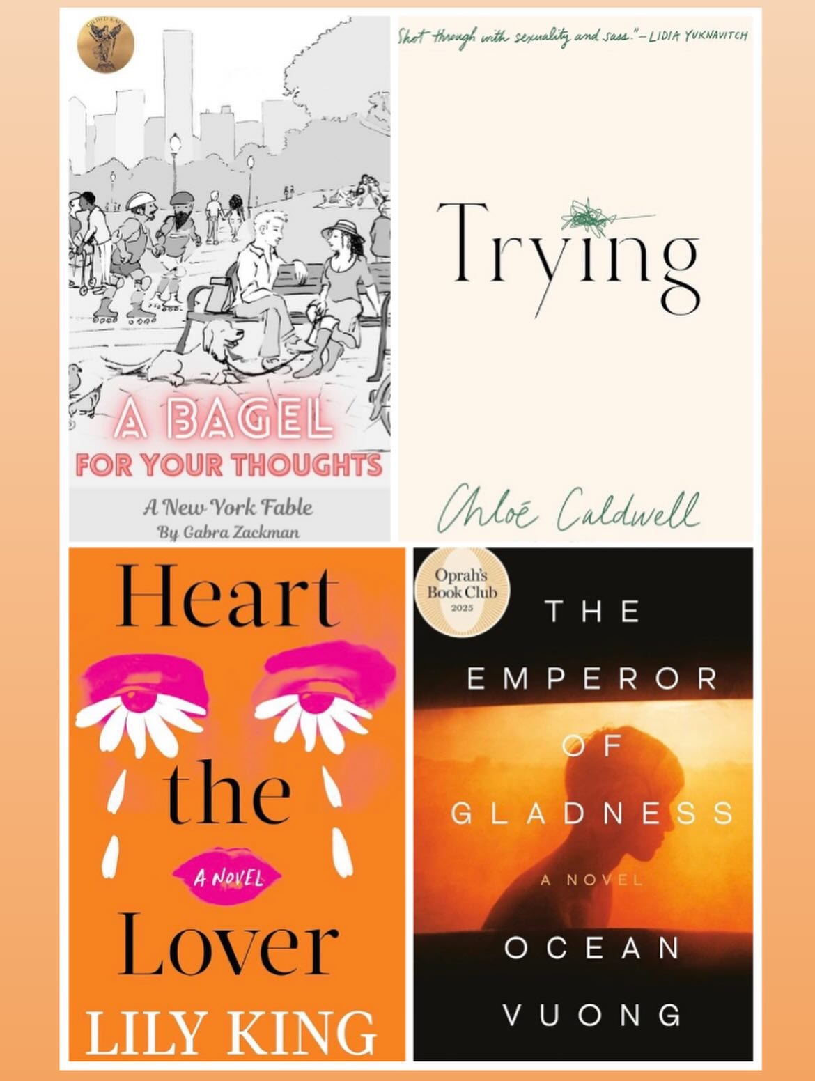 Reading as coping mechanism. The state of the world is hurting me right now. I do believe in reading and writing as a form of connection and understanding others. 
Enjoyed all of these this month. 
@gildedragepress @lilykingbooks @ocean_vuong @gabrac