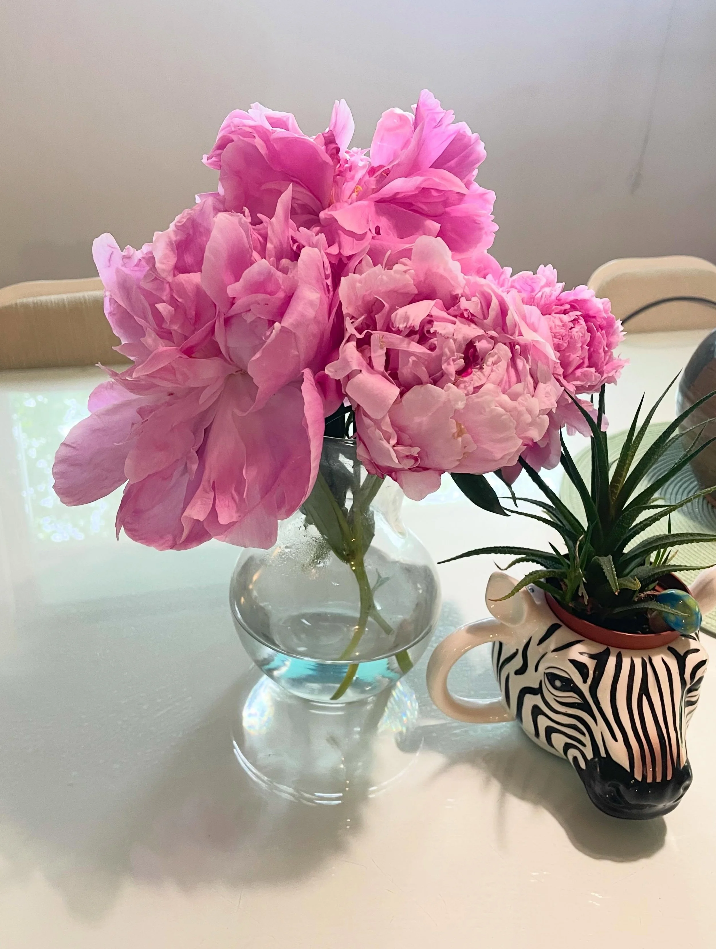 What lesson we can learn from peonies given that they fall over as soon as they bloom? Swipe for the &ldquo;before&rdquo; shot.  a) Don&rsquo;t get a big head?  b) Work on your core strength?  c) Explore the great indoors? (Specifically in a vase?) 
