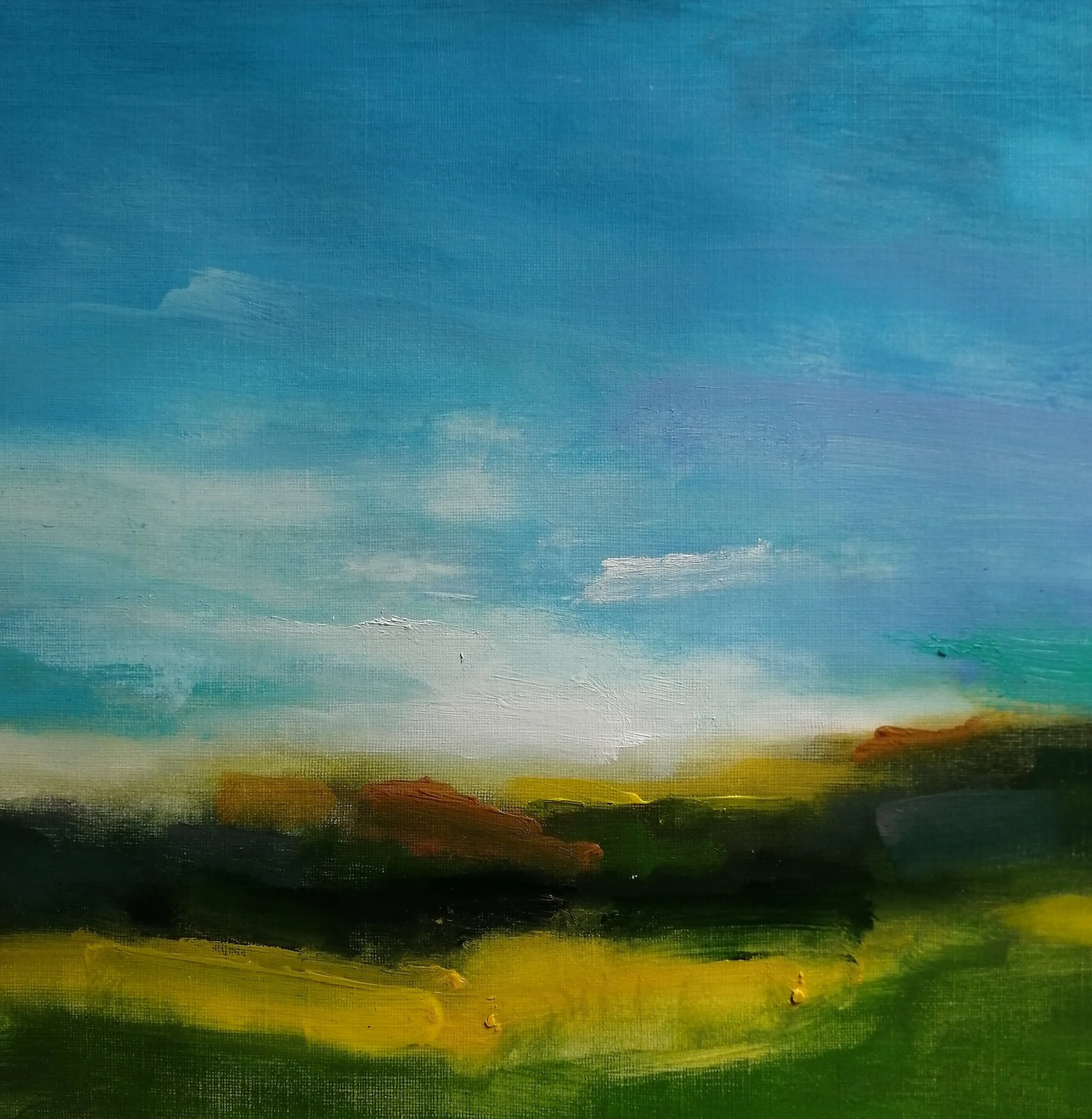 Landscape acrylic painting of a dawn sun breaking over the horizon, blue sky with pink clouds and shadows in the foreground.