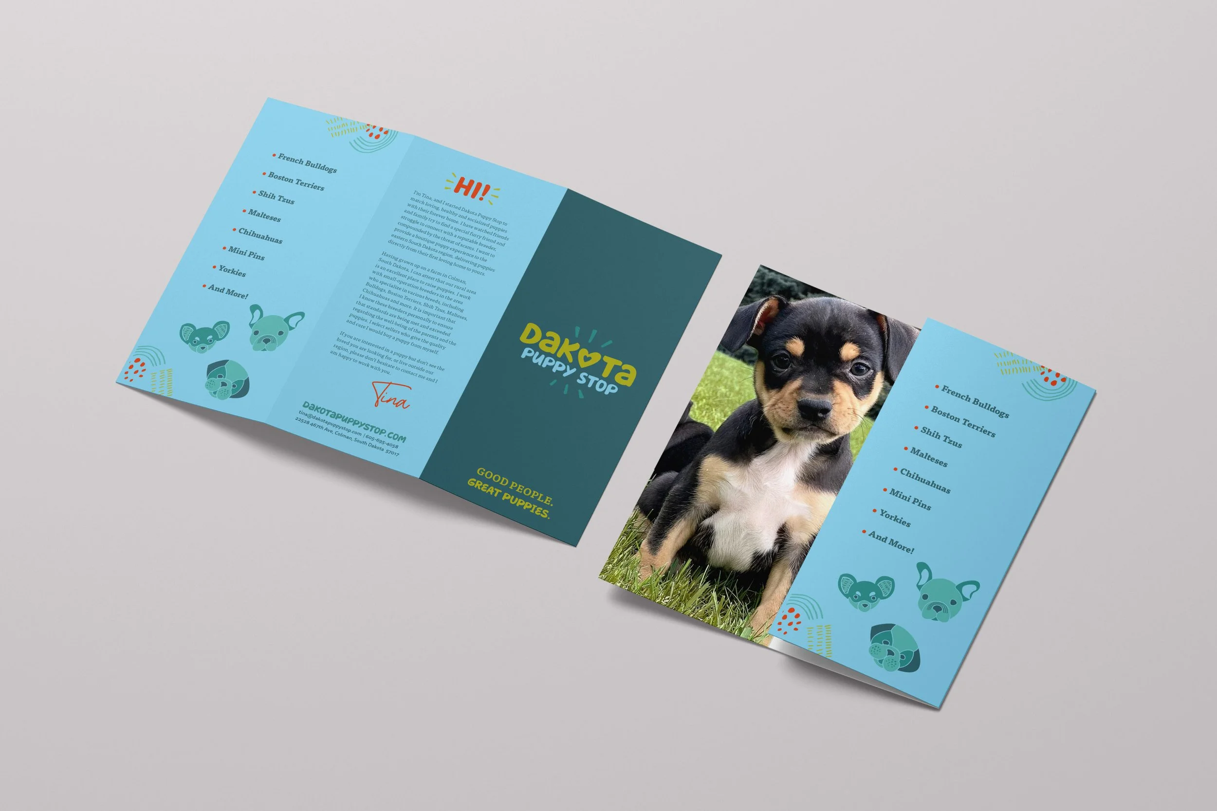 21-DKPS-Tri-Fold-Brochure_Mockup .jpg