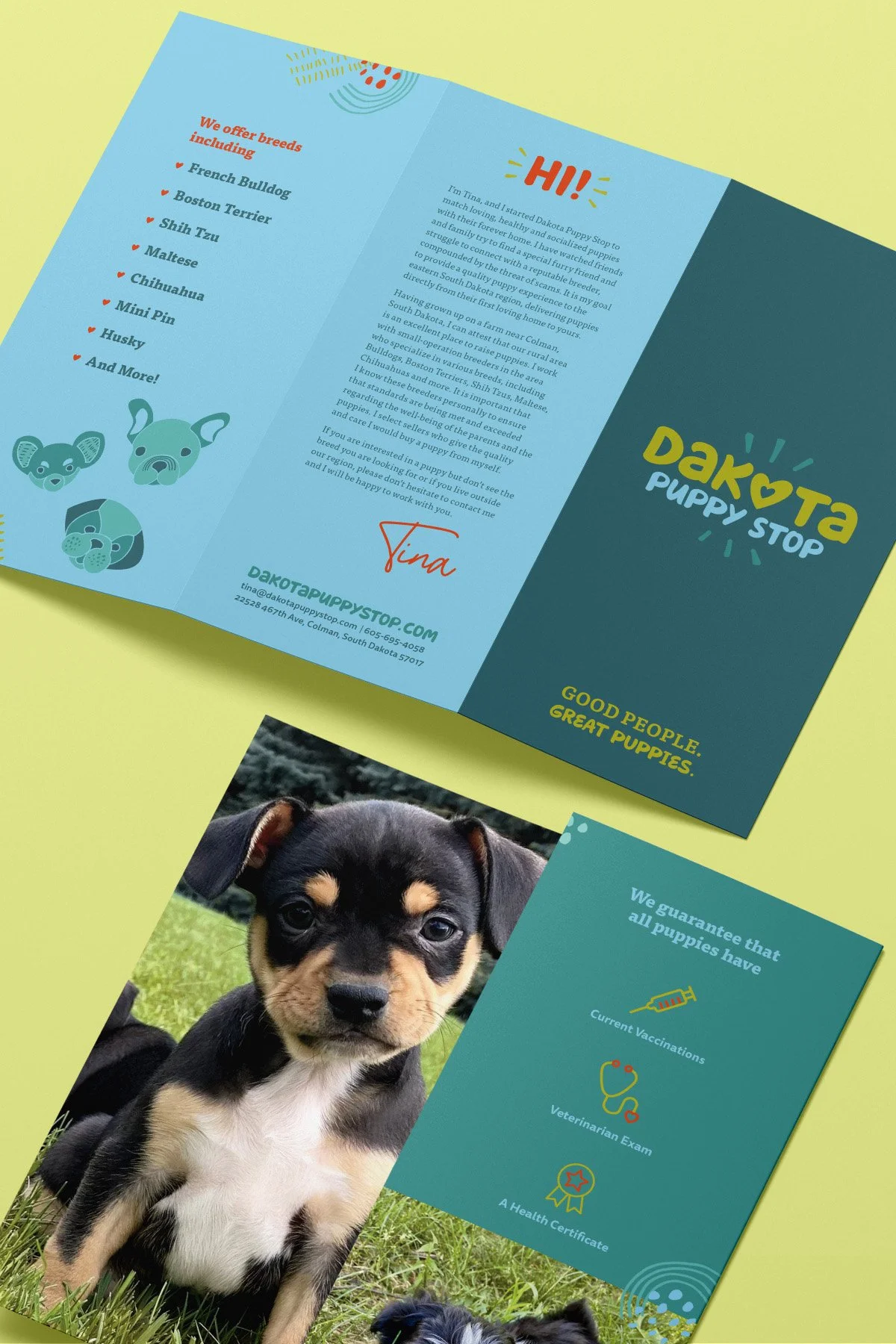 hey-k-design-work-dakota-puppy_2-3.jpg