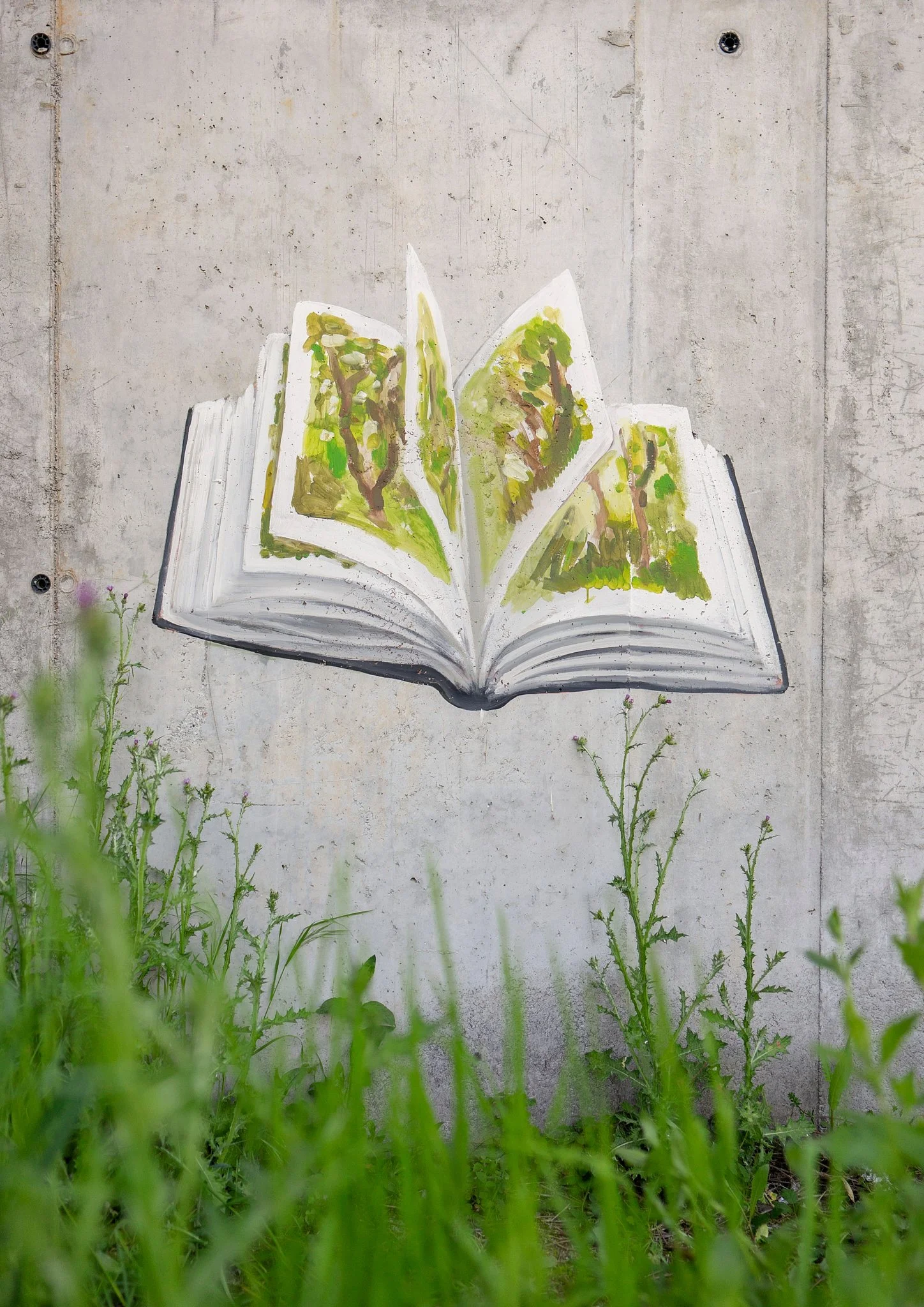 Amigos do MAL / Ribeira Sacra, Galicia / 2023-25