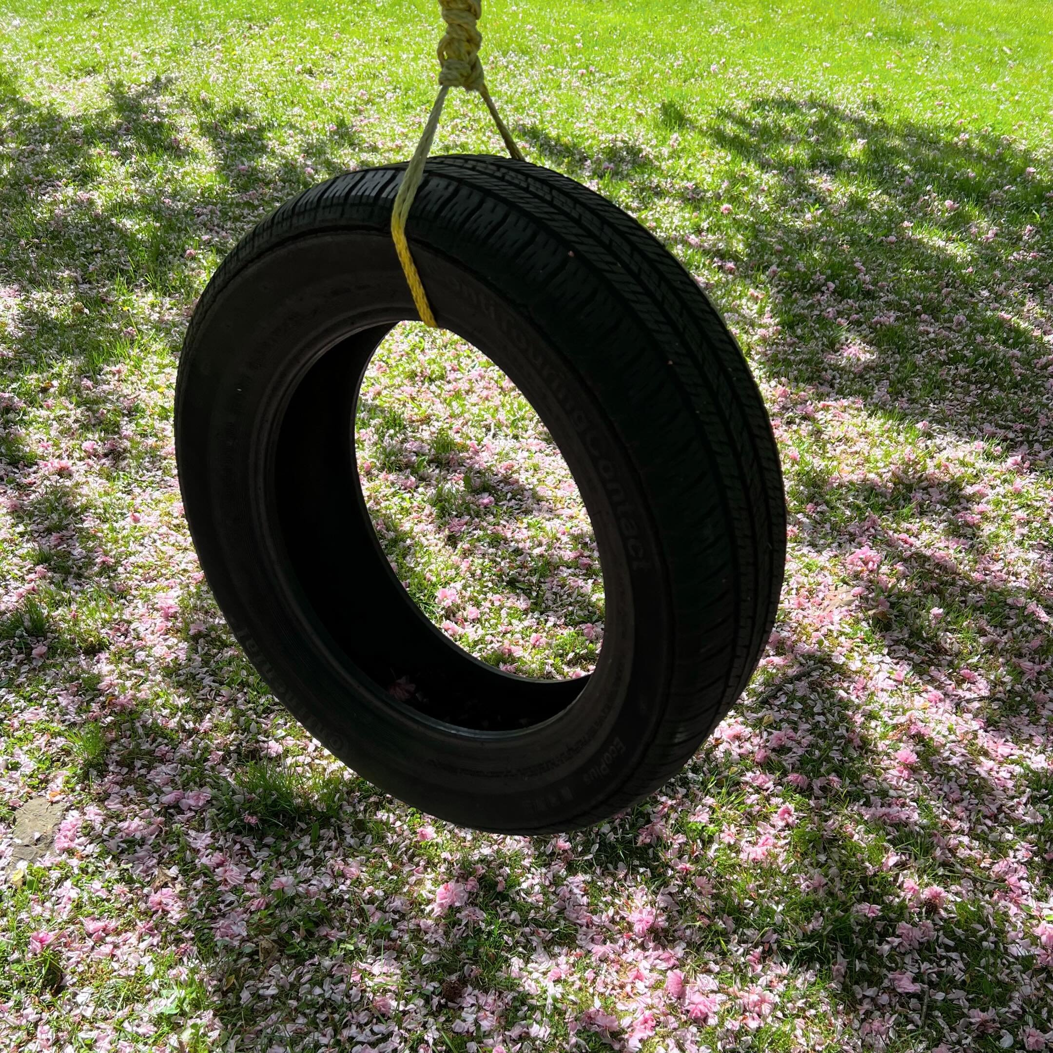 #tireswing