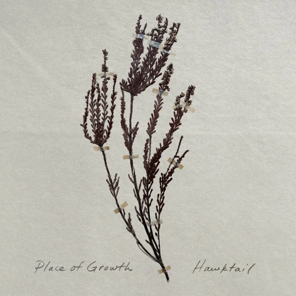 Album Review: Hawktail Moves Through Nature on ‘Place of Growth’