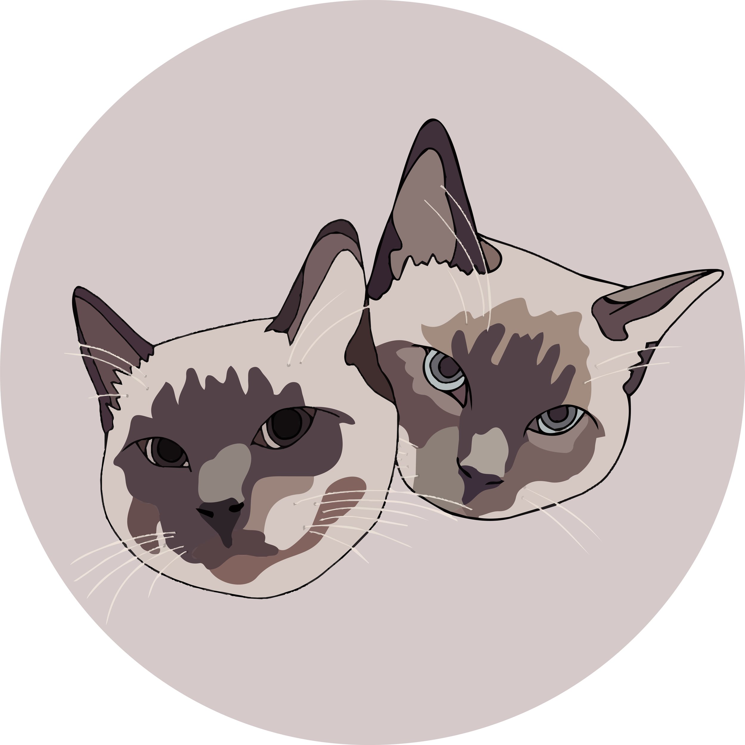 AL_final_cats.jpg