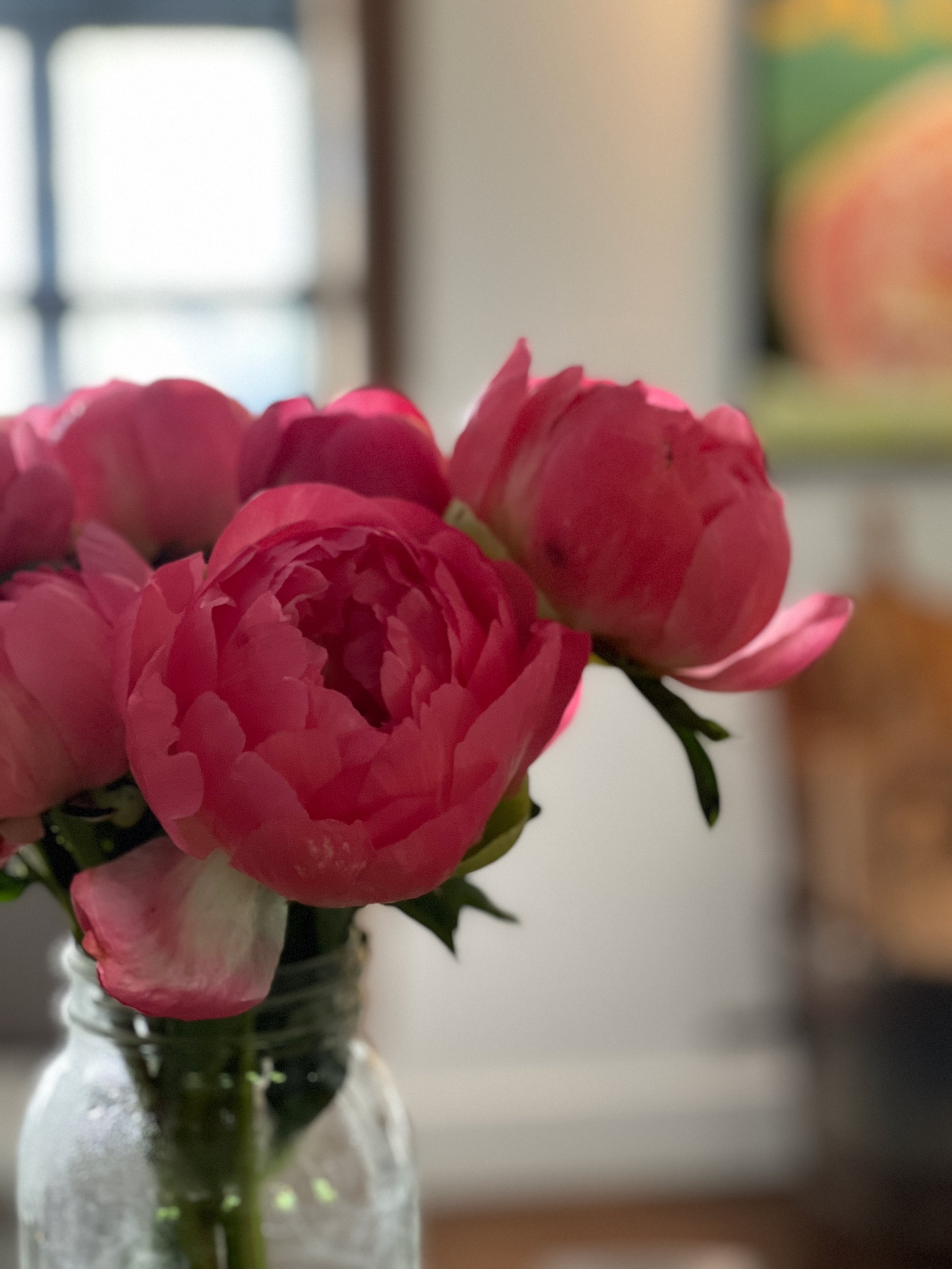 IMG_7830.jpeg