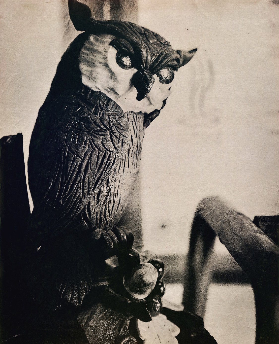 Chocolate experience for Father's Day