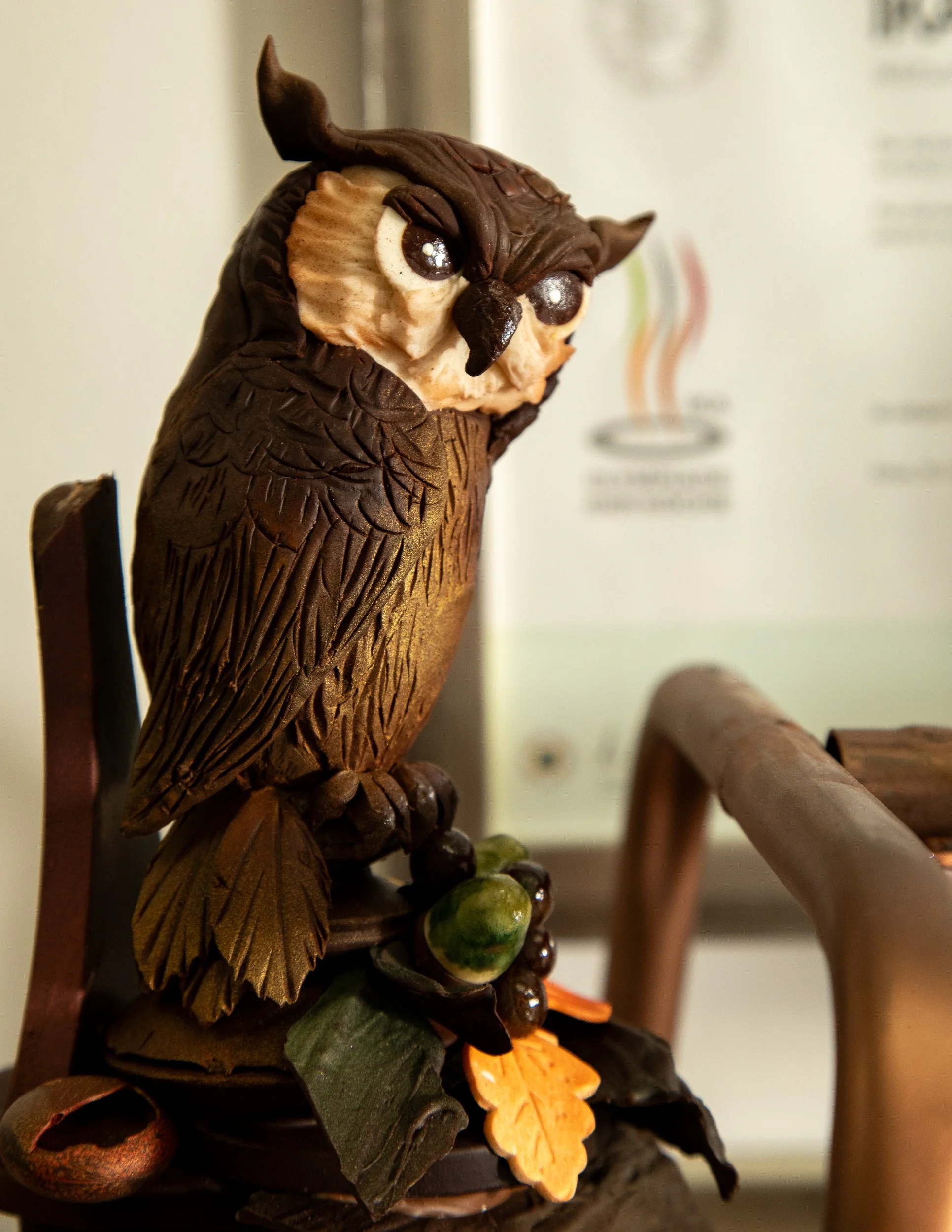 Chocoalte Owl.jpg